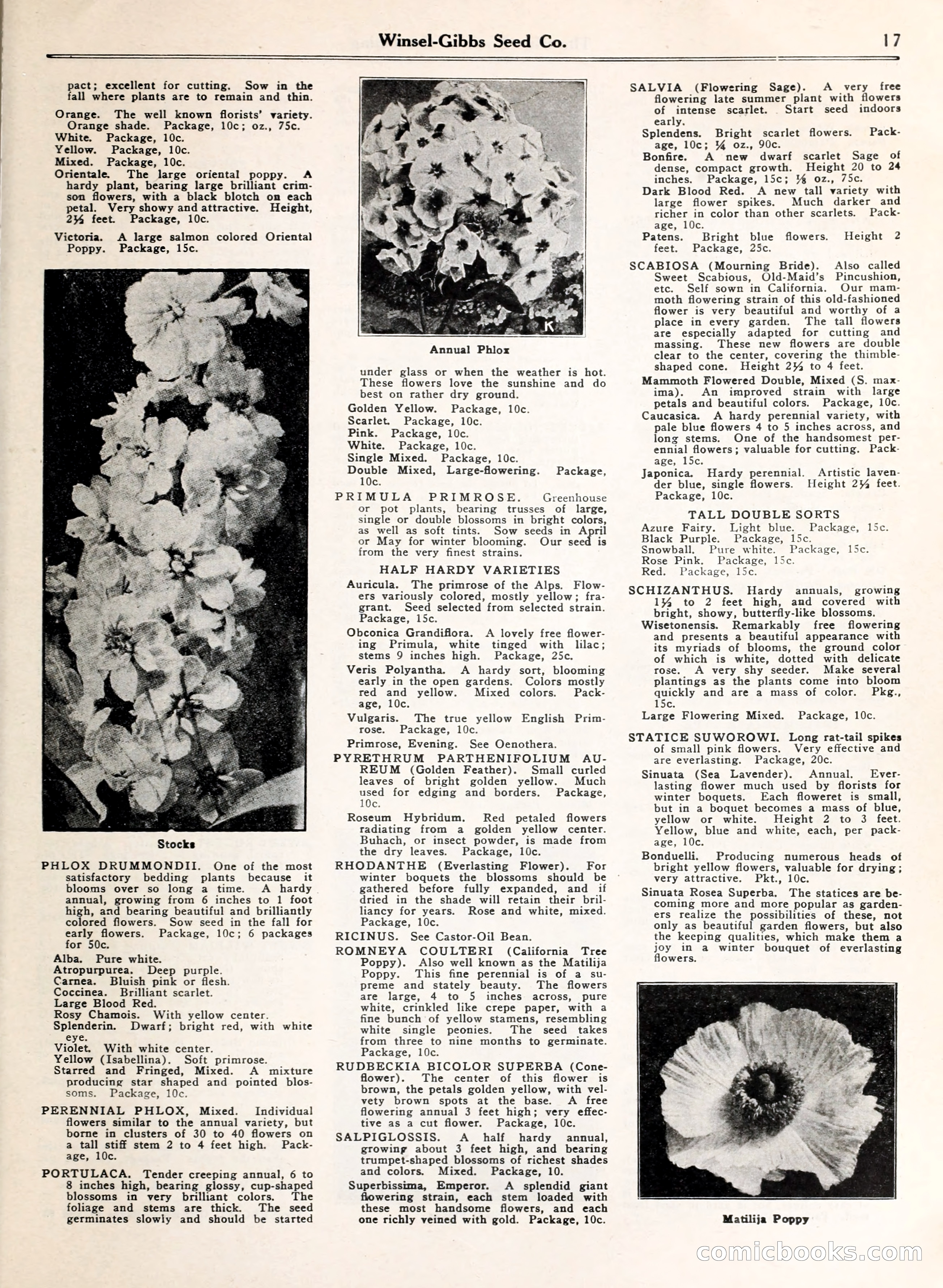 Blue Book of Gardening — page 22 of 69