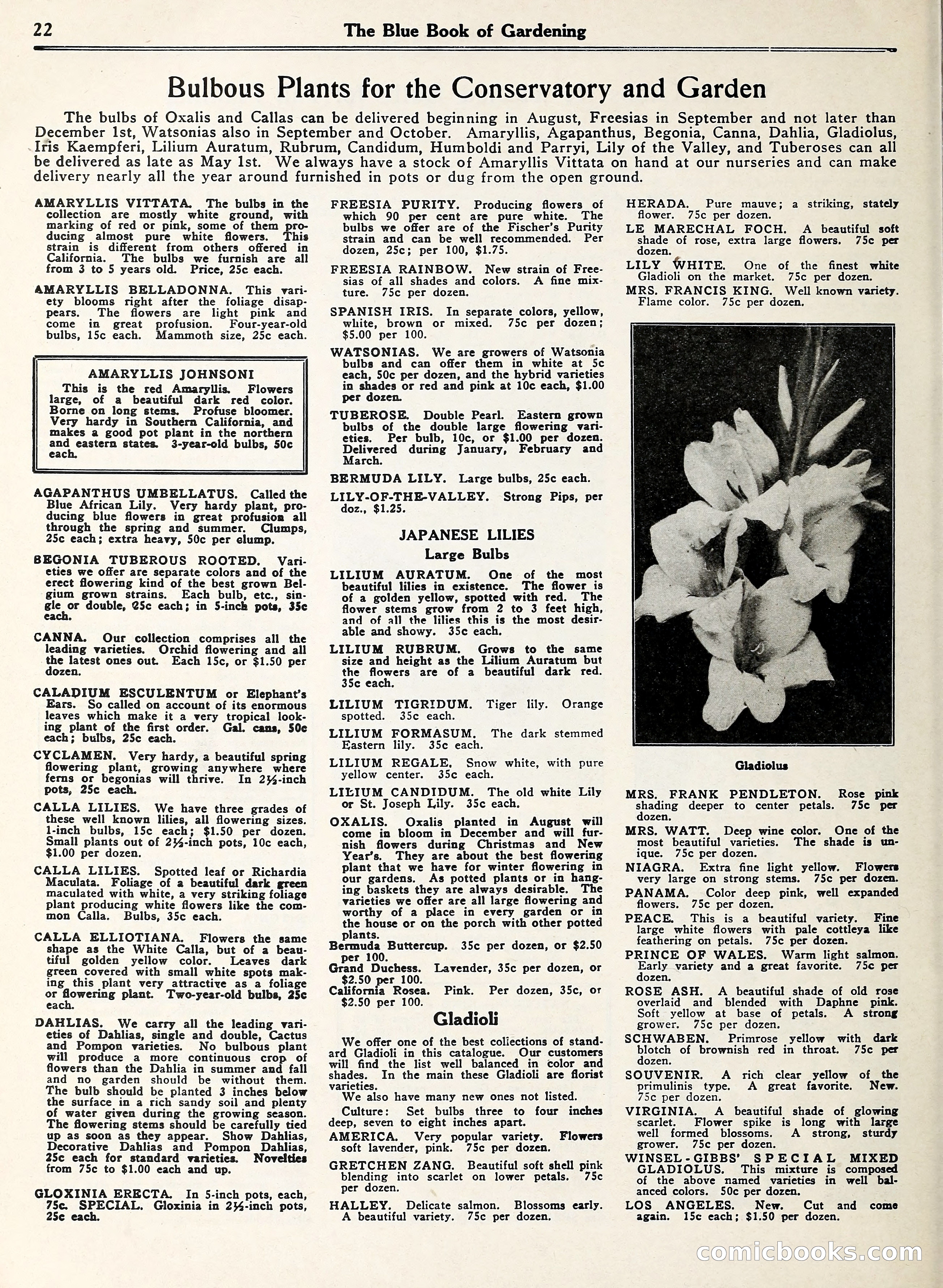 Blue Book of Gardening — page 27 of 69