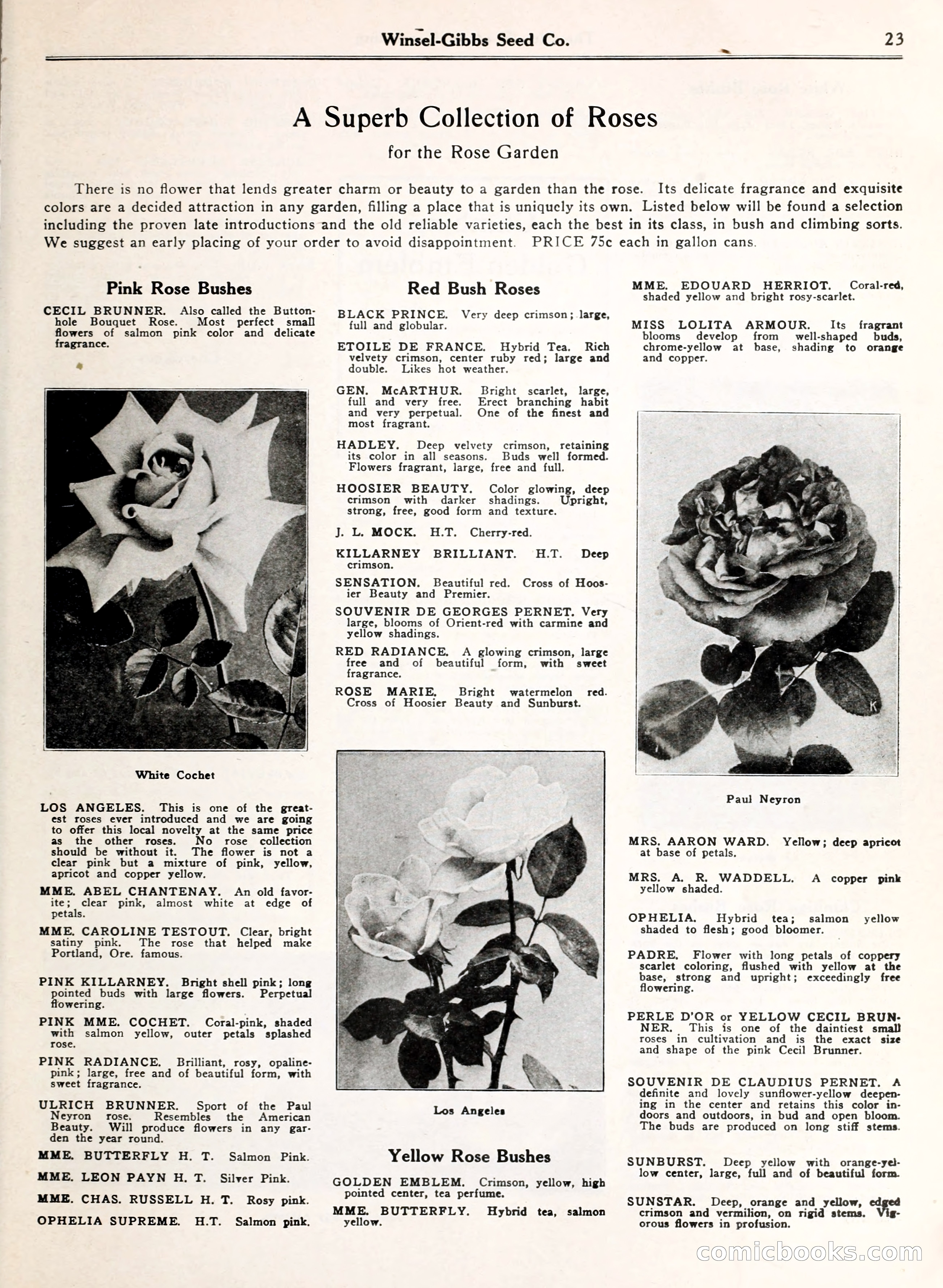 Blue Book of Gardening — page 28 of 69