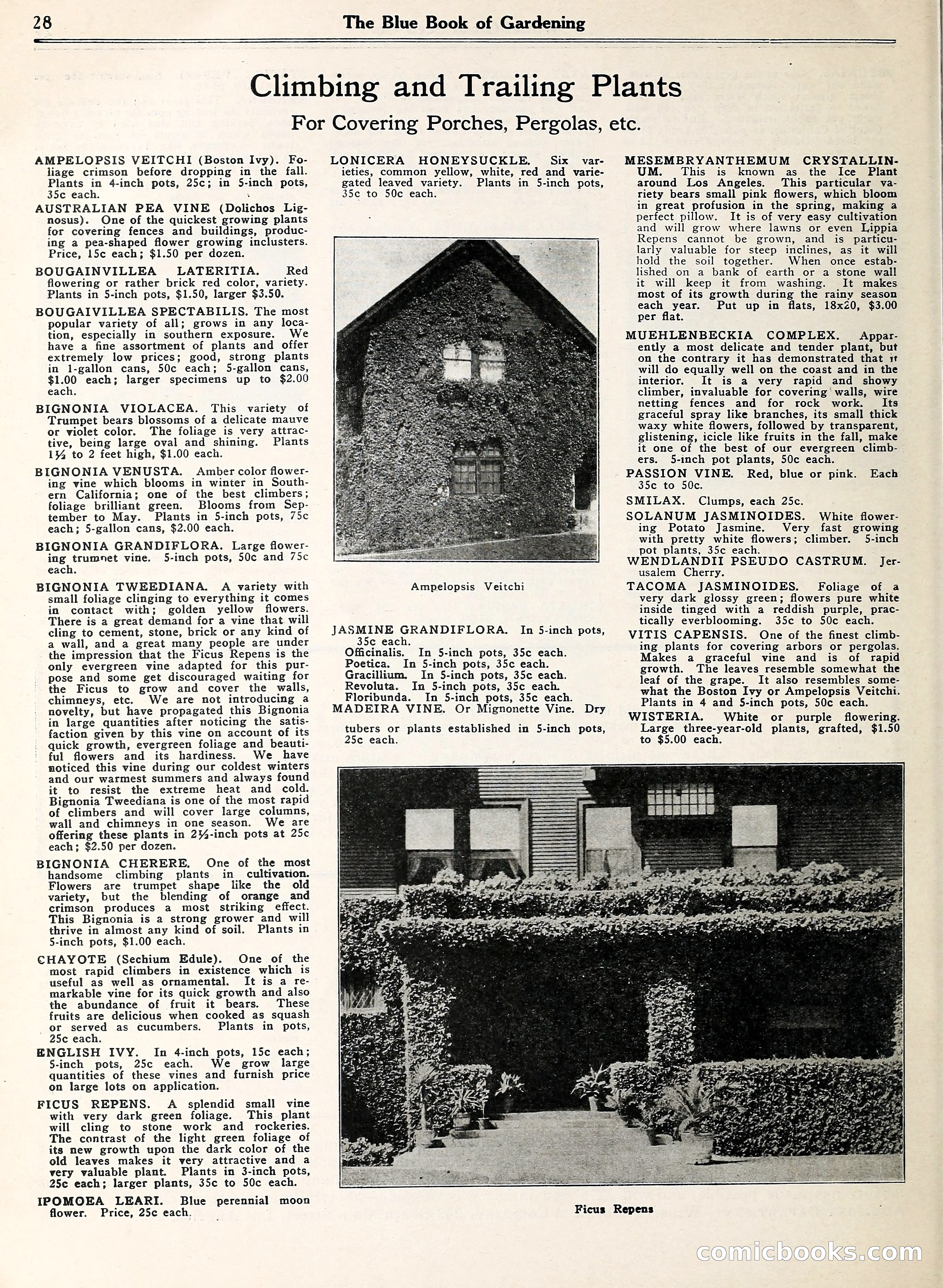 Blue Book of Gardening — page 33 of 69