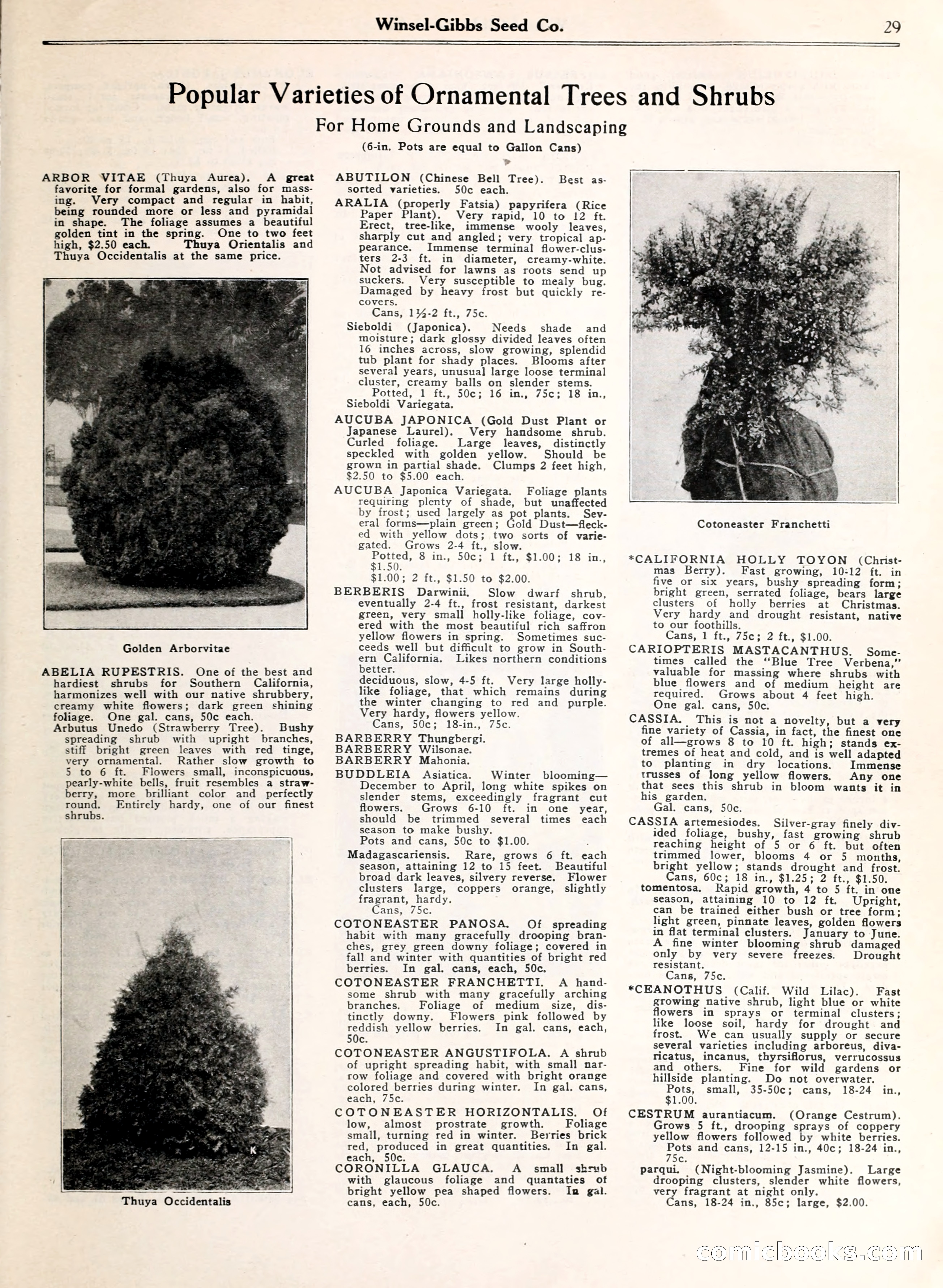 Blue Book of Gardening — page 34 of 69