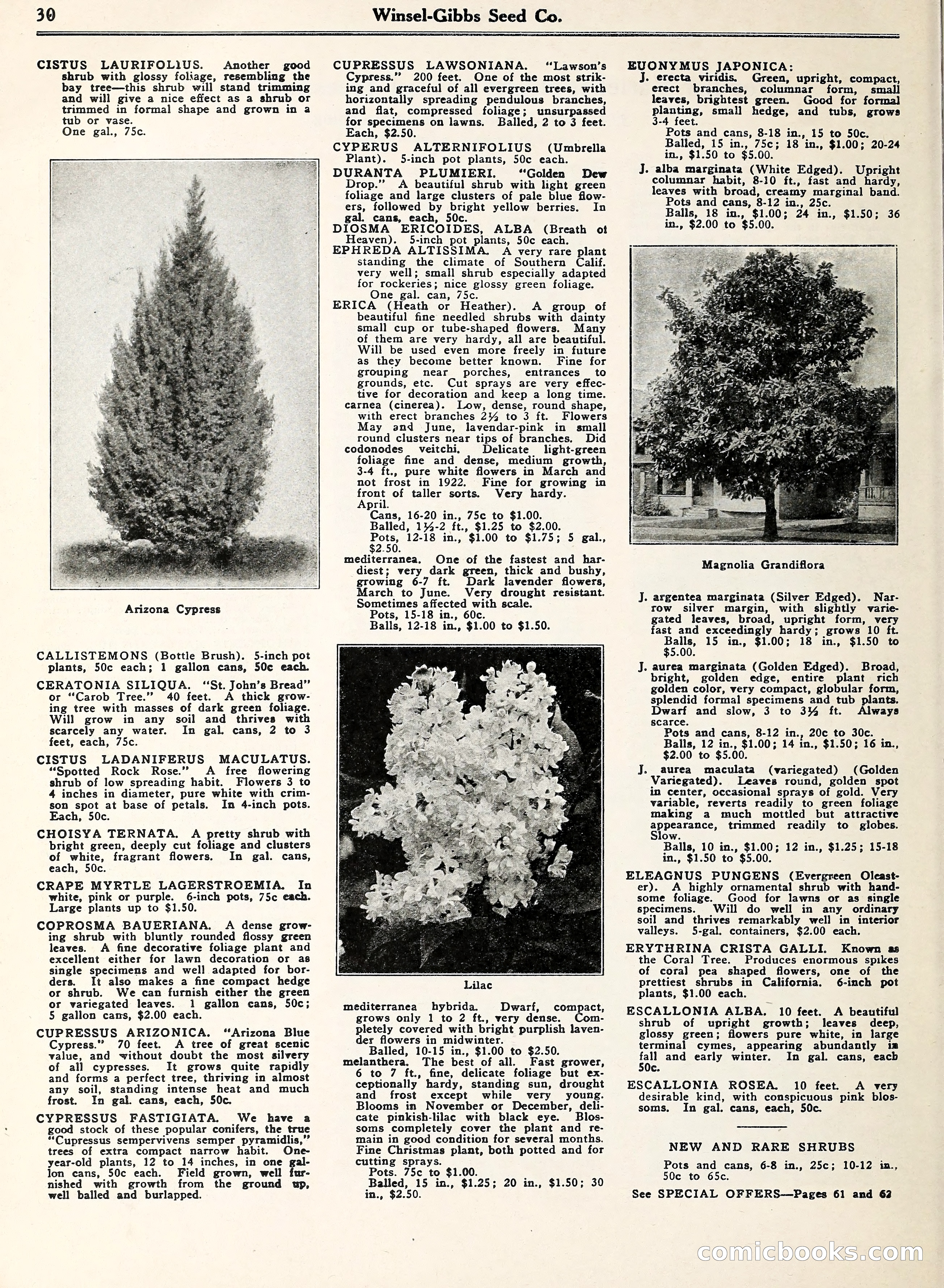 Blue Book of Gardening — page 35 of 69