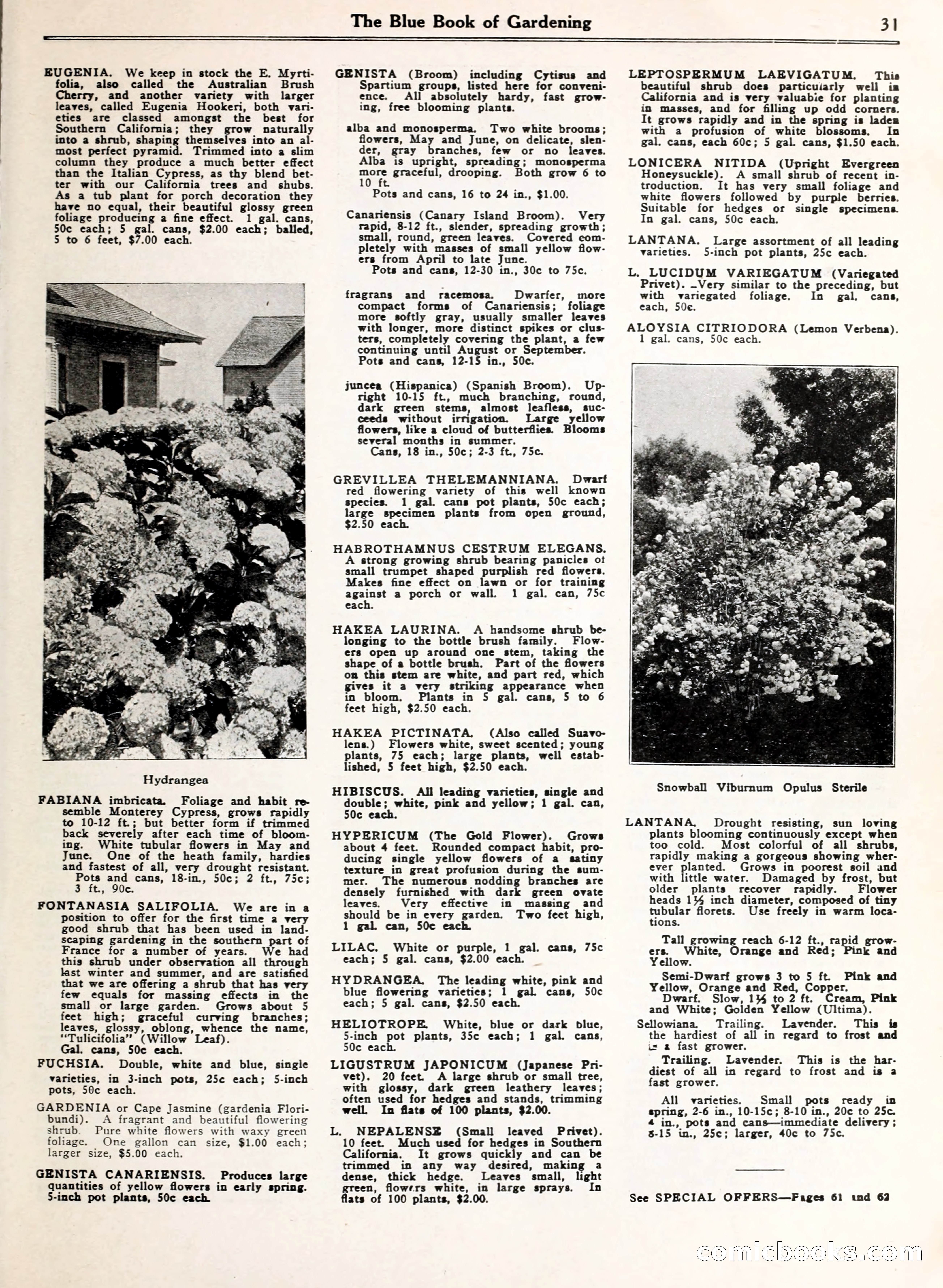 Blue Book of Gardening — page 36 of 69