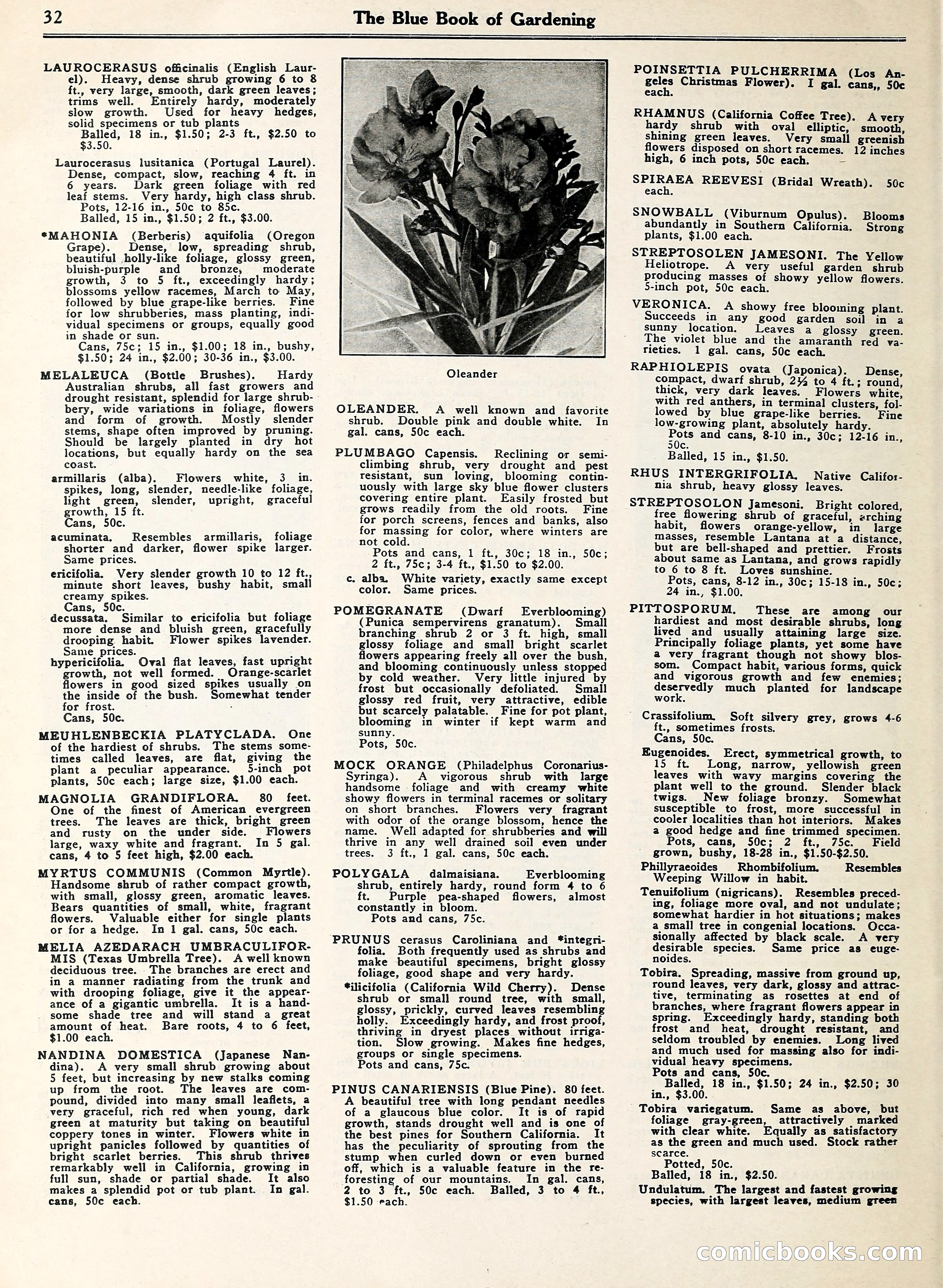 Blue Book of Gardening — page 37 of 69