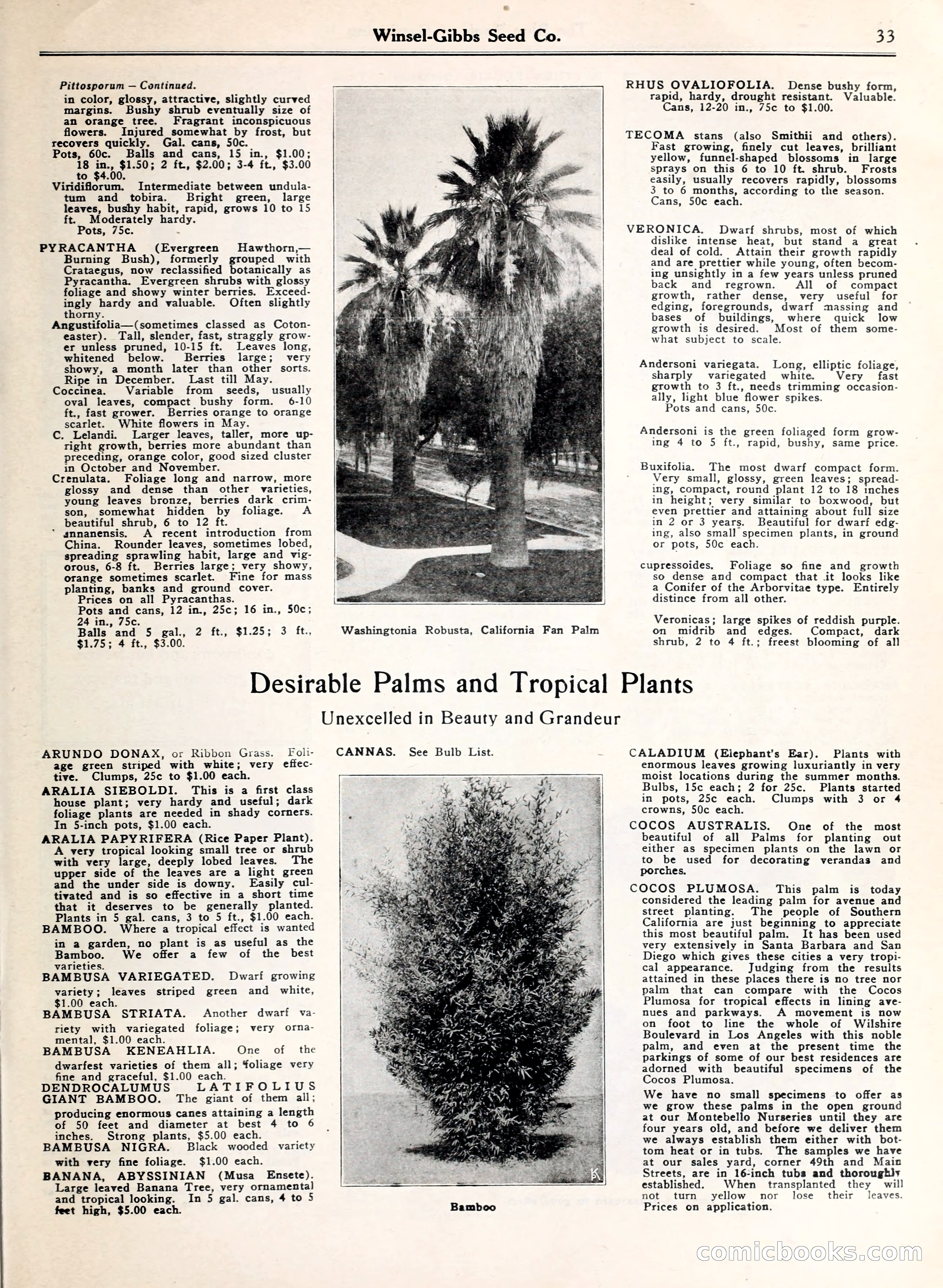 Blue Book of Gardening — page 38 of 69