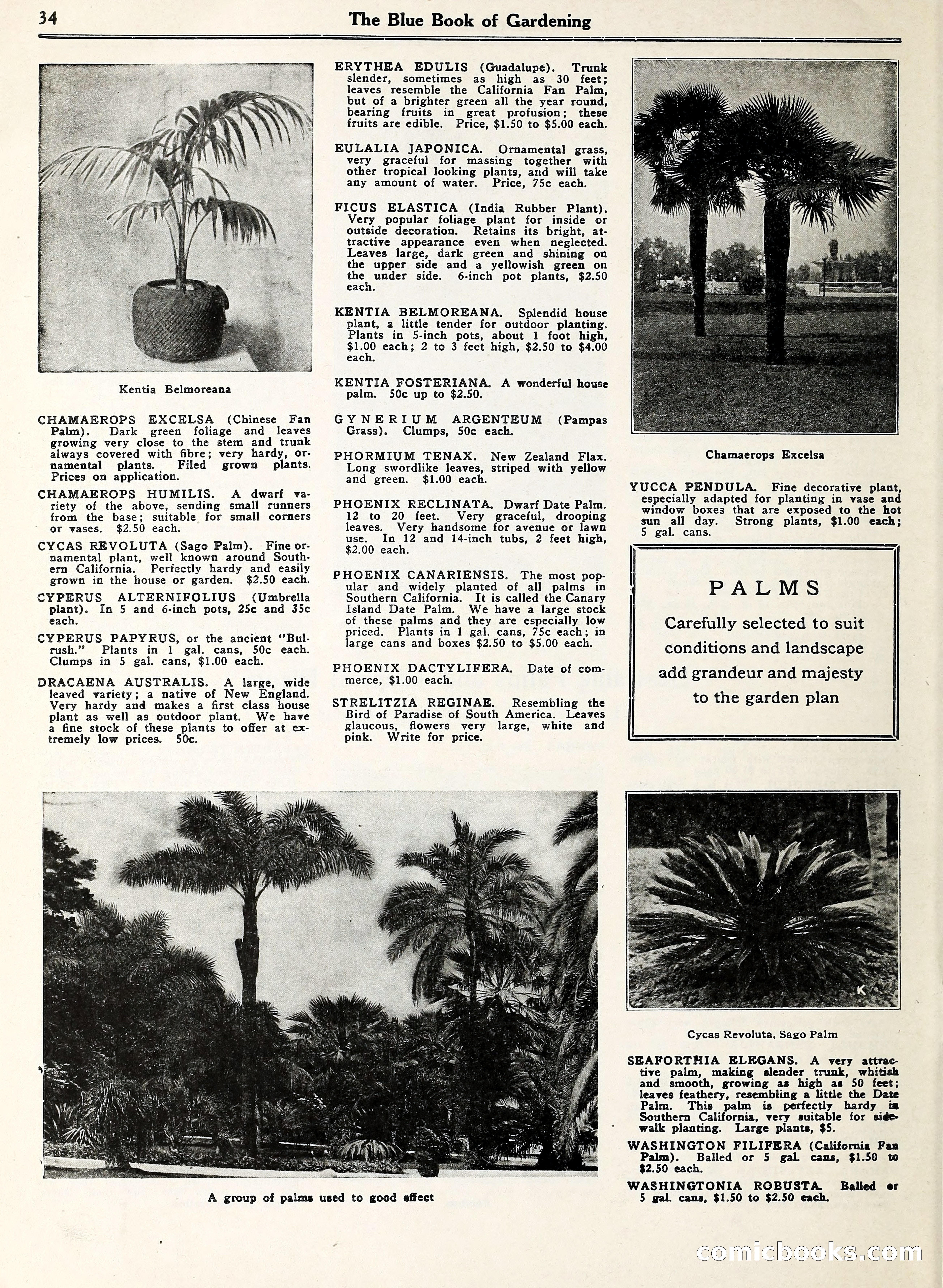 Blue Book of Gardening — page 39 of 69