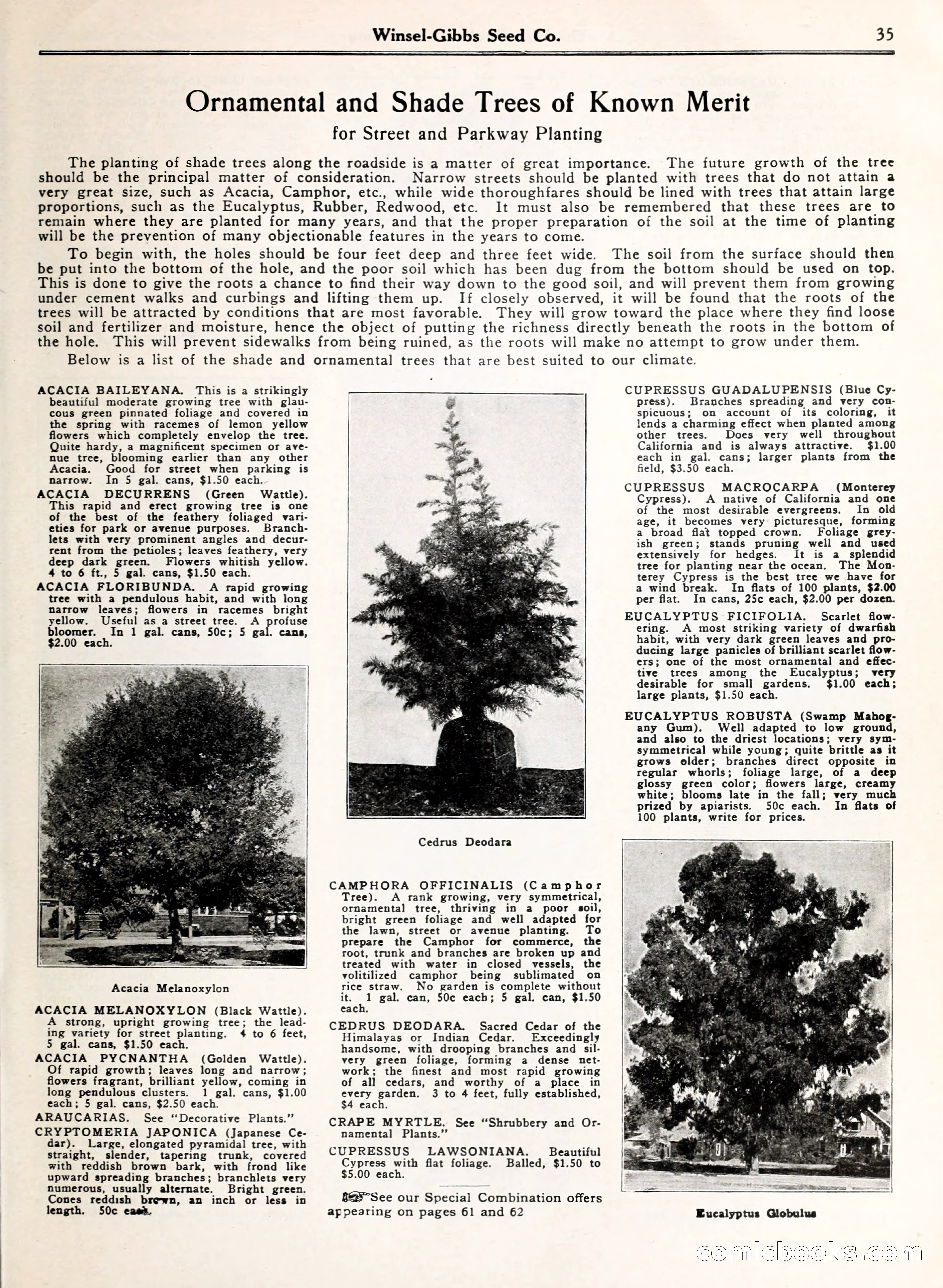 Blue Book of Gardening — page 40 of 69