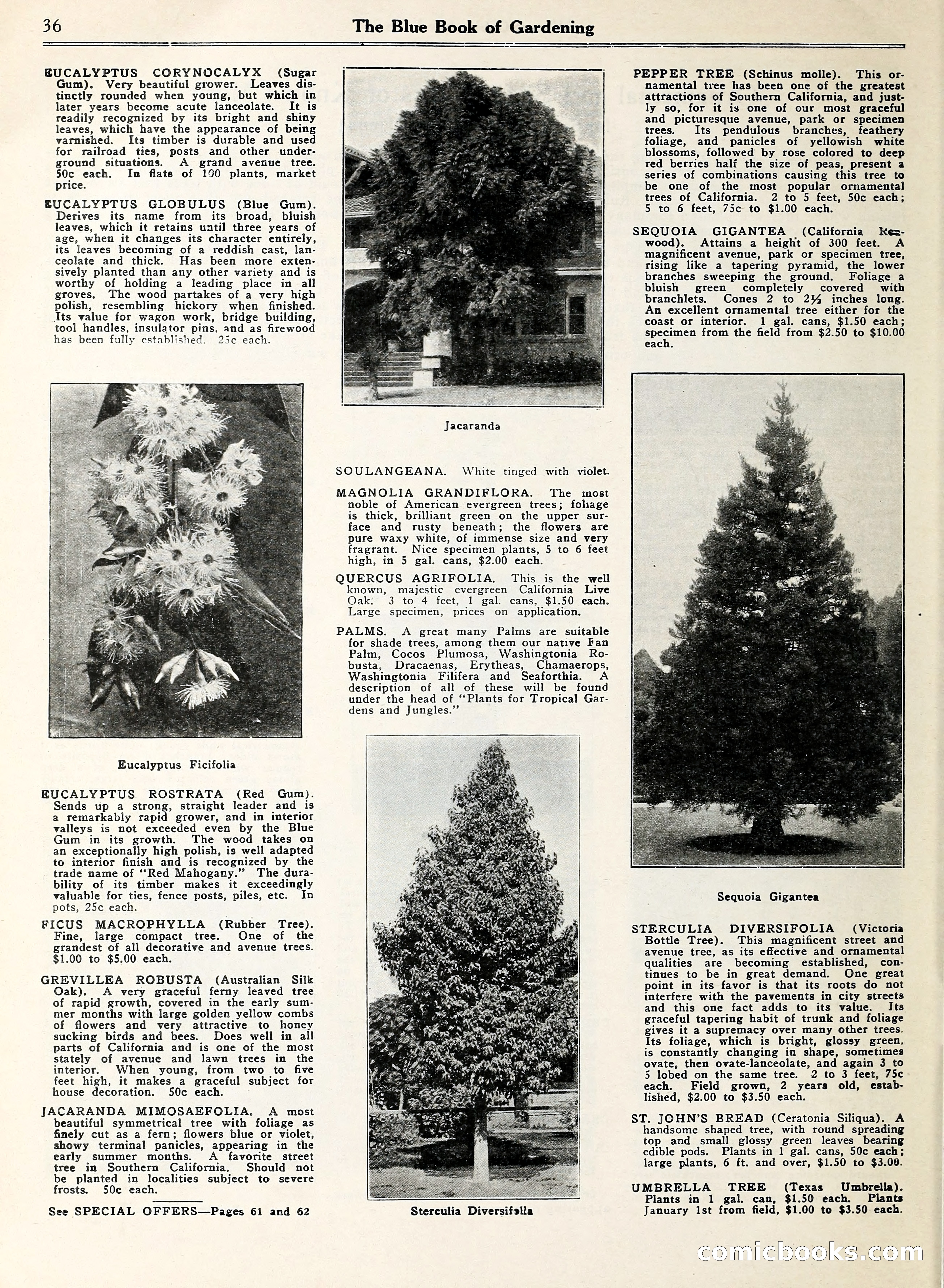 Blue Book of Gardening — page 41 of 69