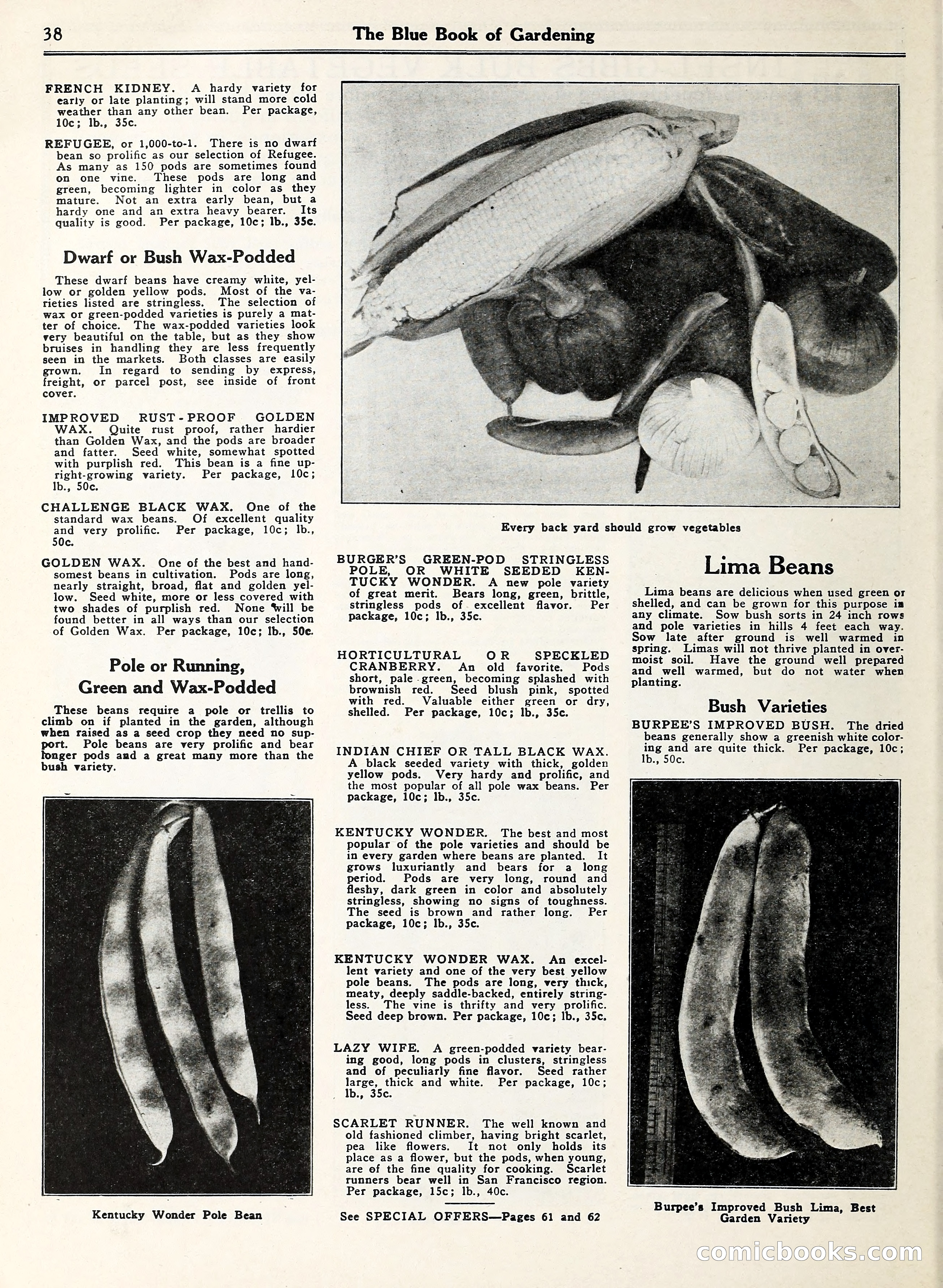 Blue Book of Gardening — page 43 of 69
