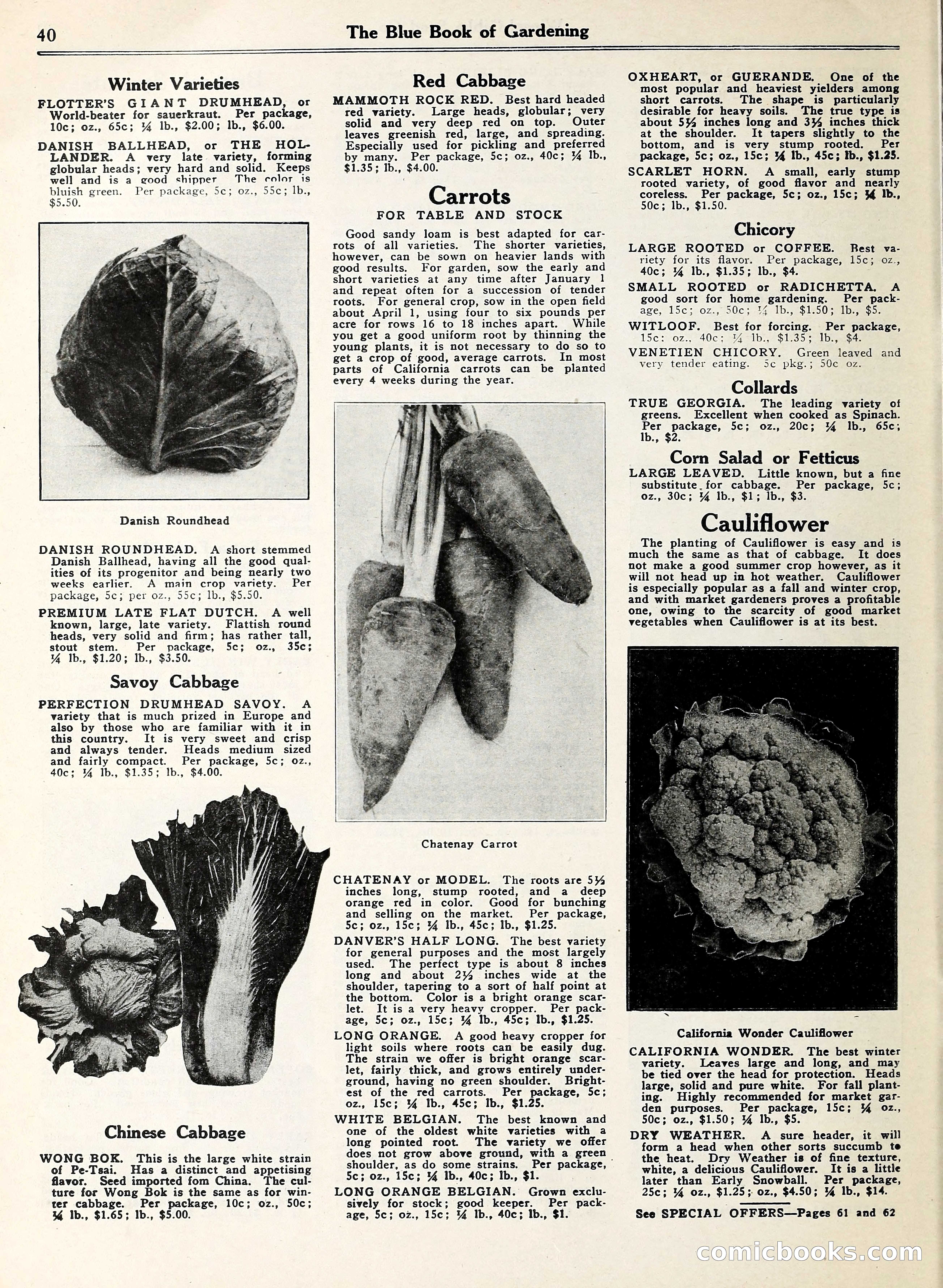 Blue Book of Gardening — page 45 of 69