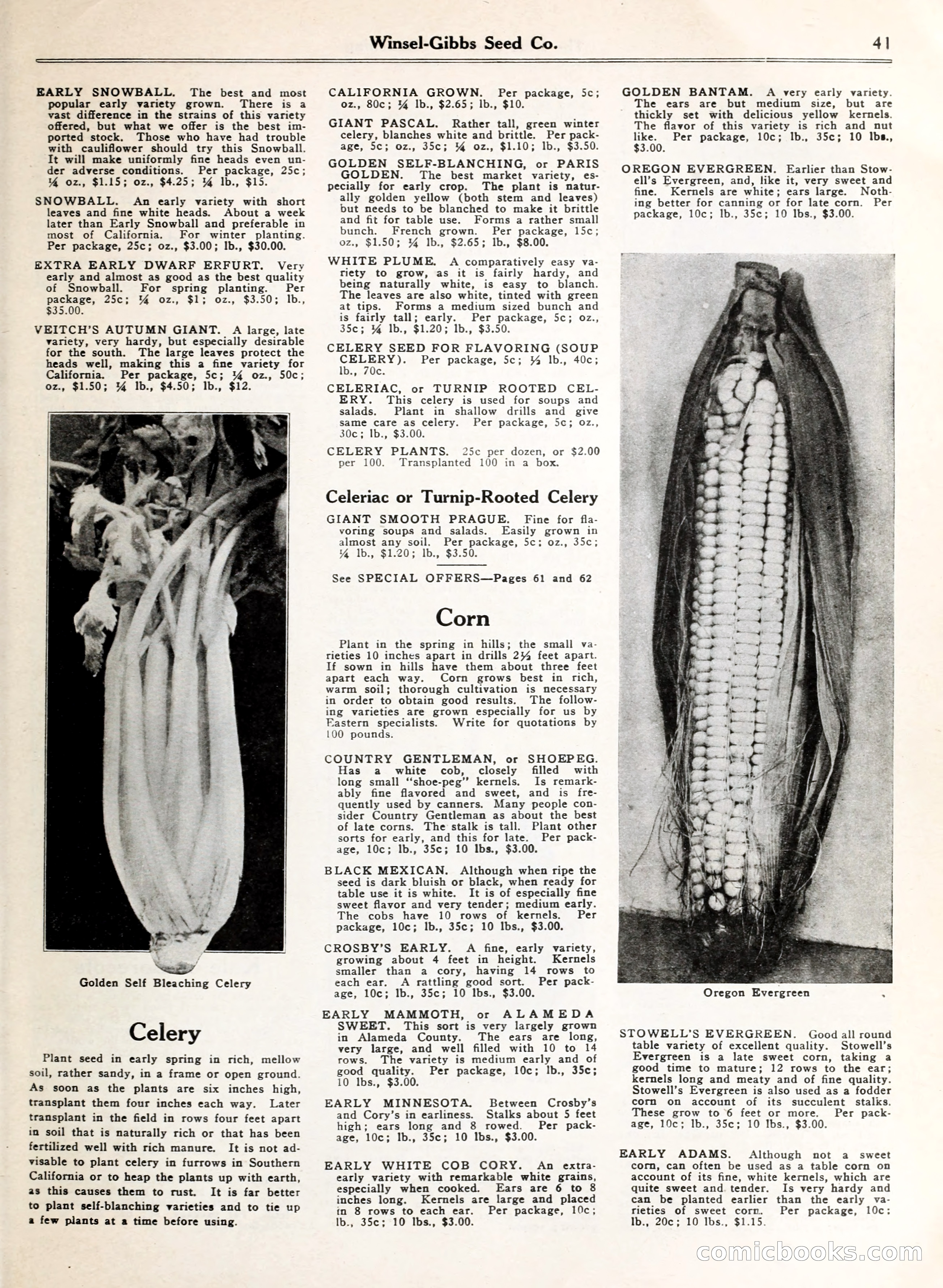 Blue Book of Gardening — page 46 of 69