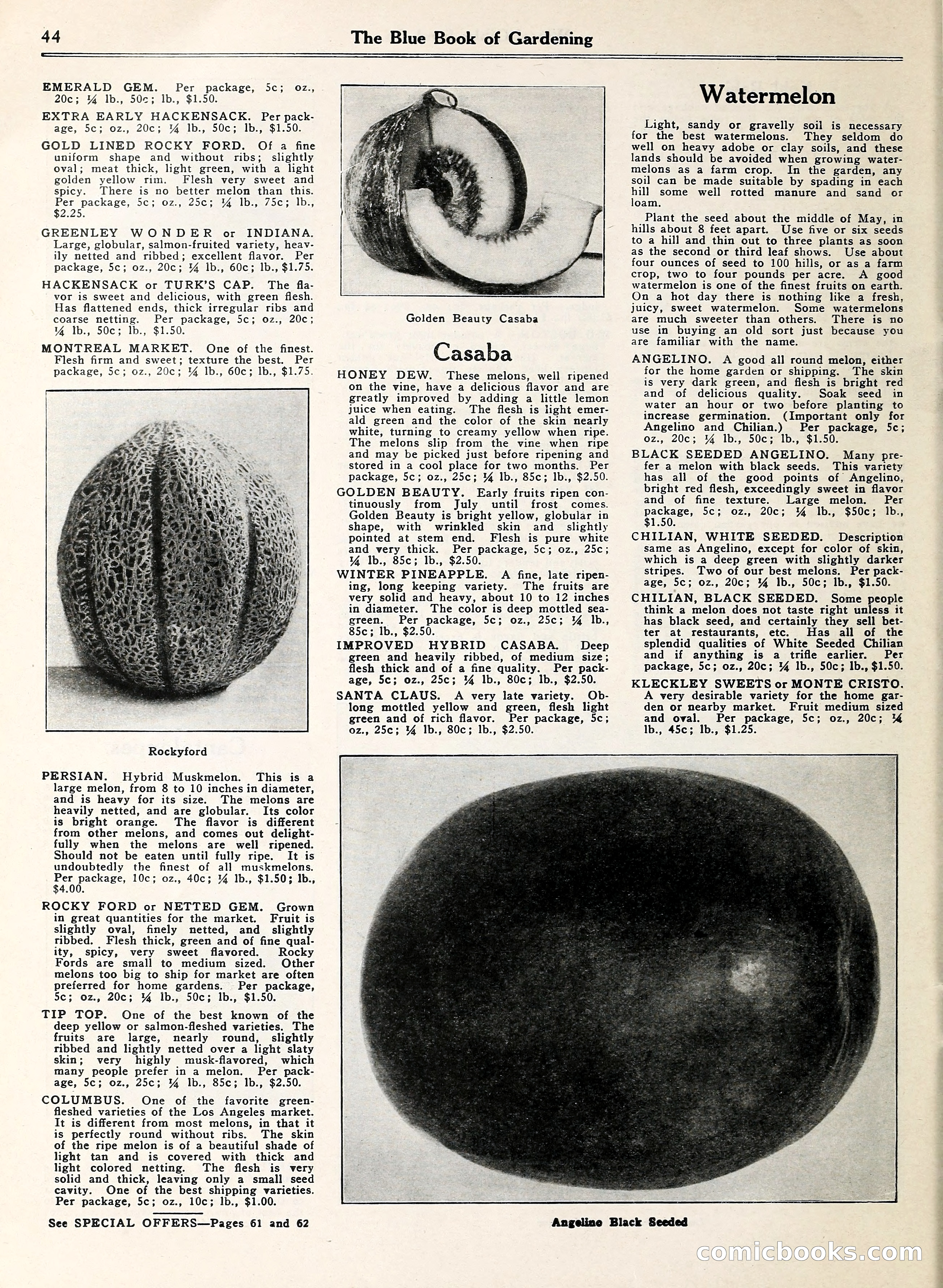 Blue Book of Gardening — page 49 of 69