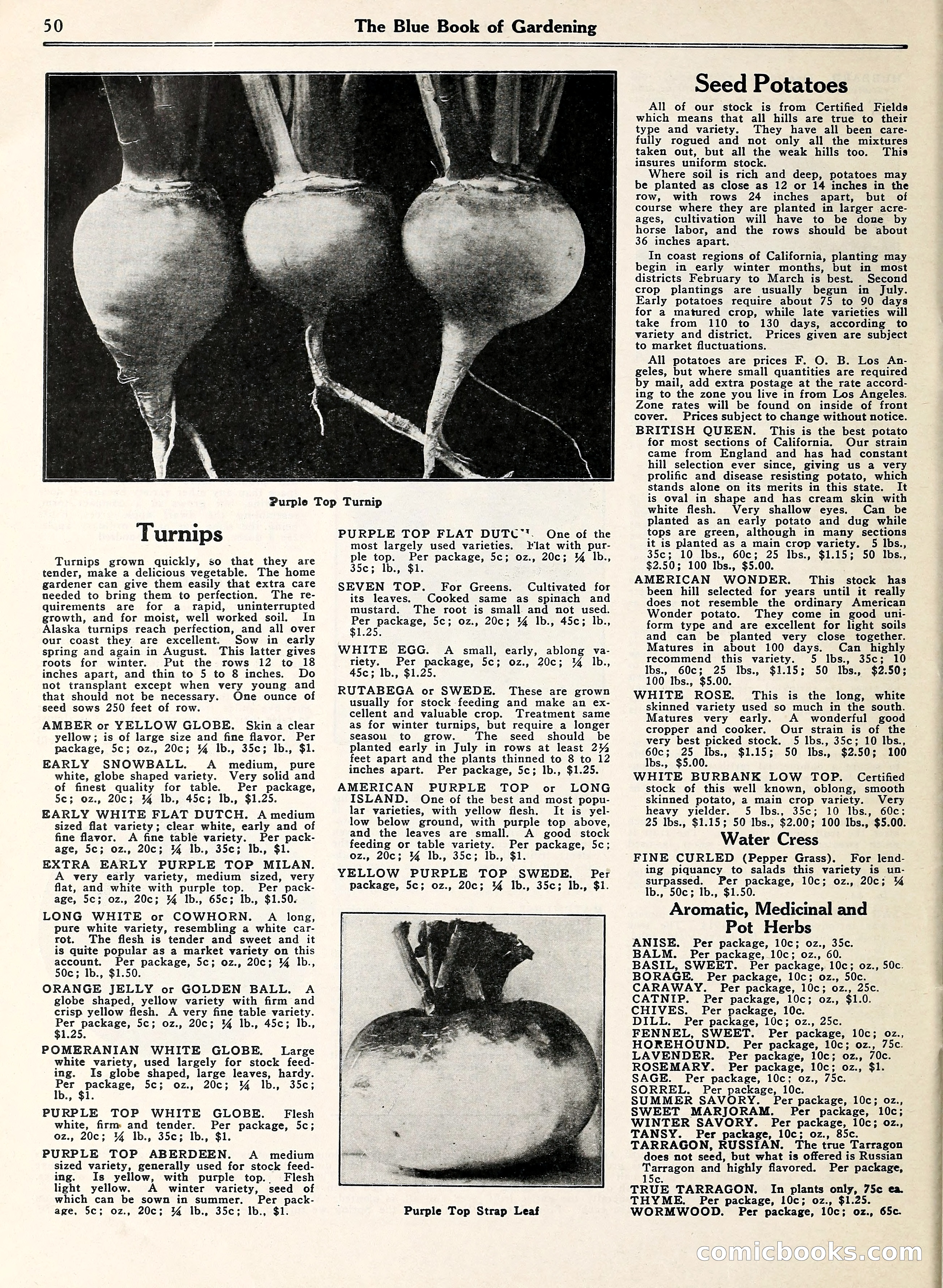 Blue Book of Gardening — page 55 of 69