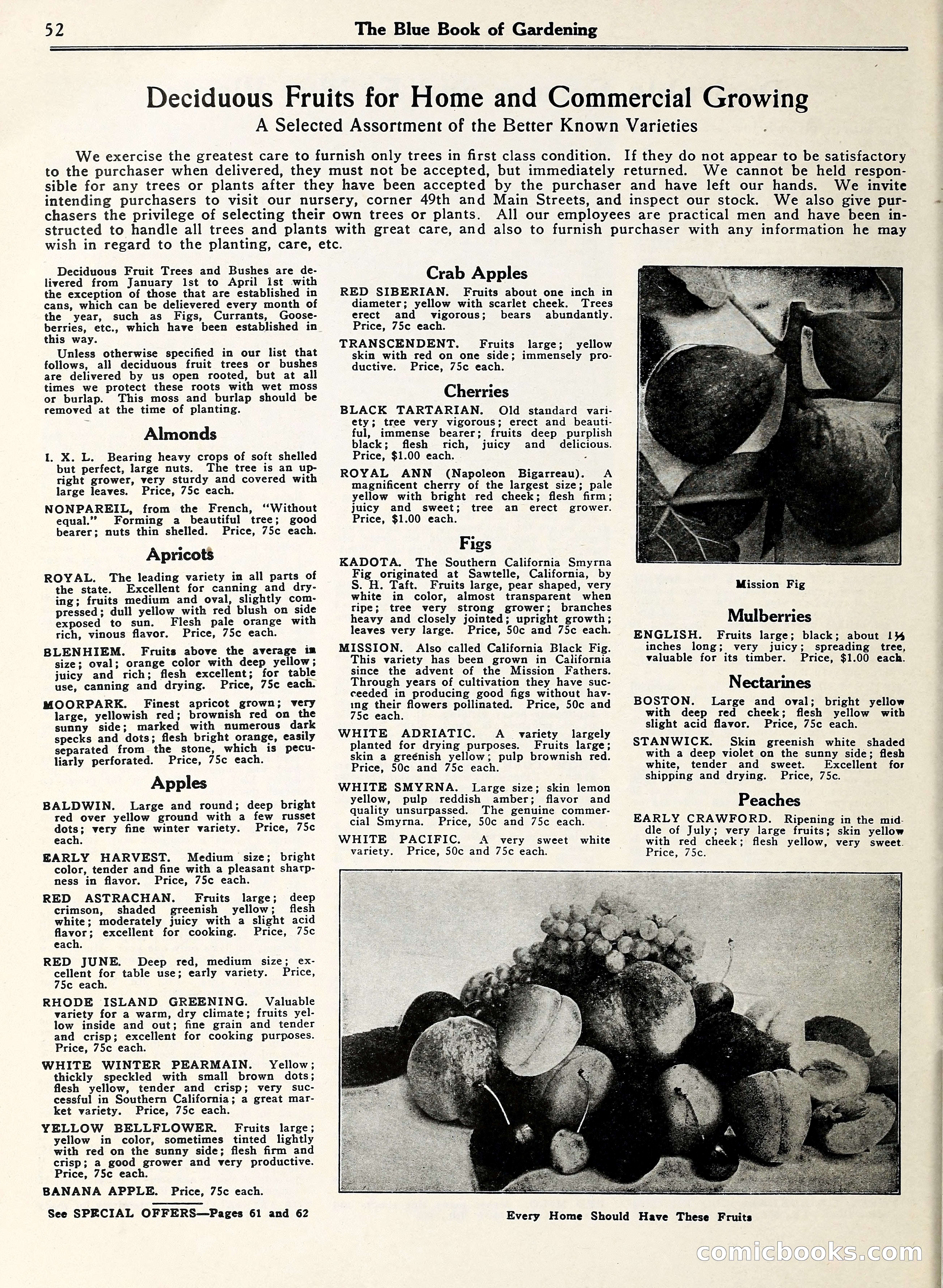 Blue Book of Gardening — page 57 of 69