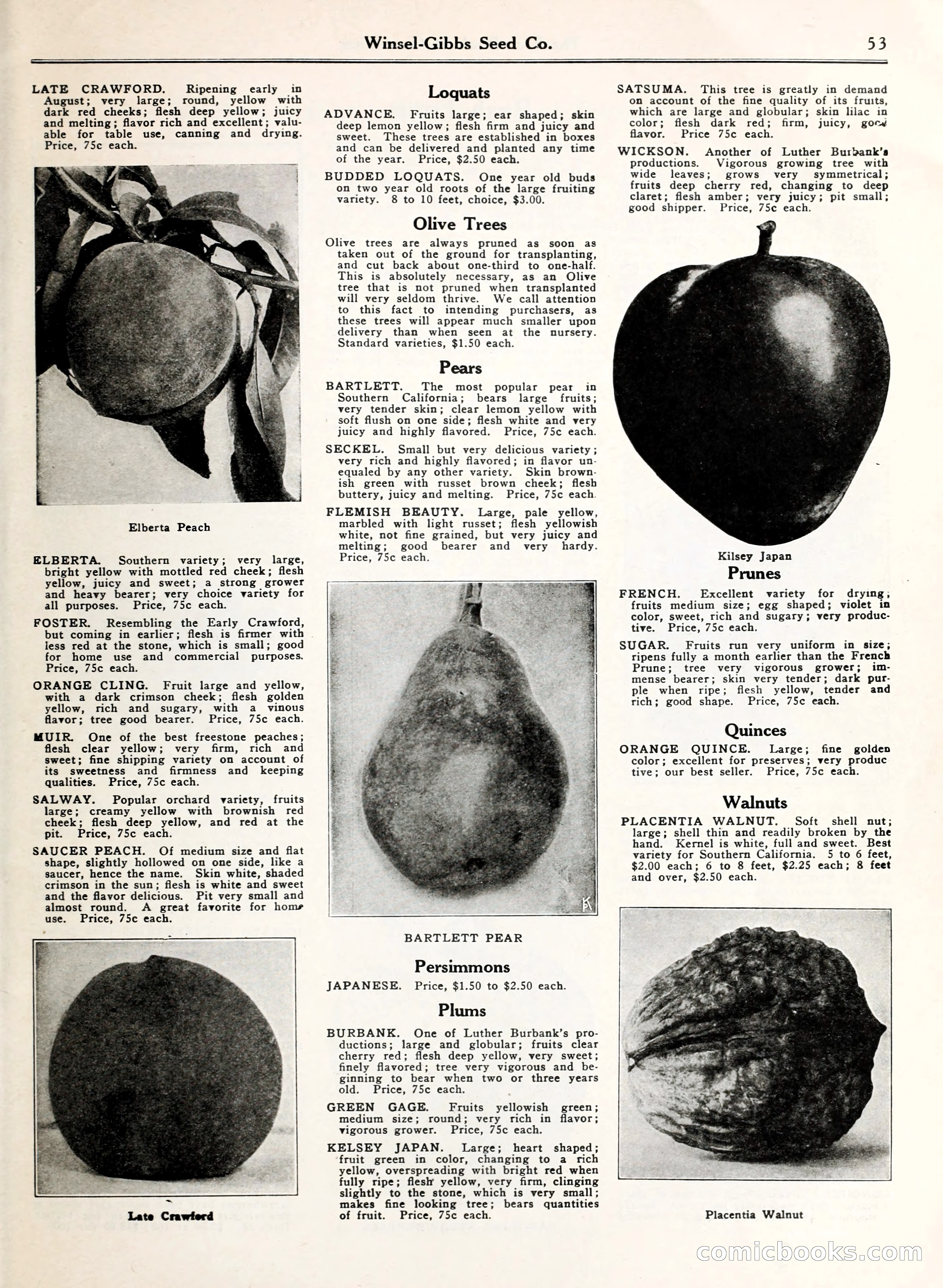 Blue Book of Gardening — page 58 of 69