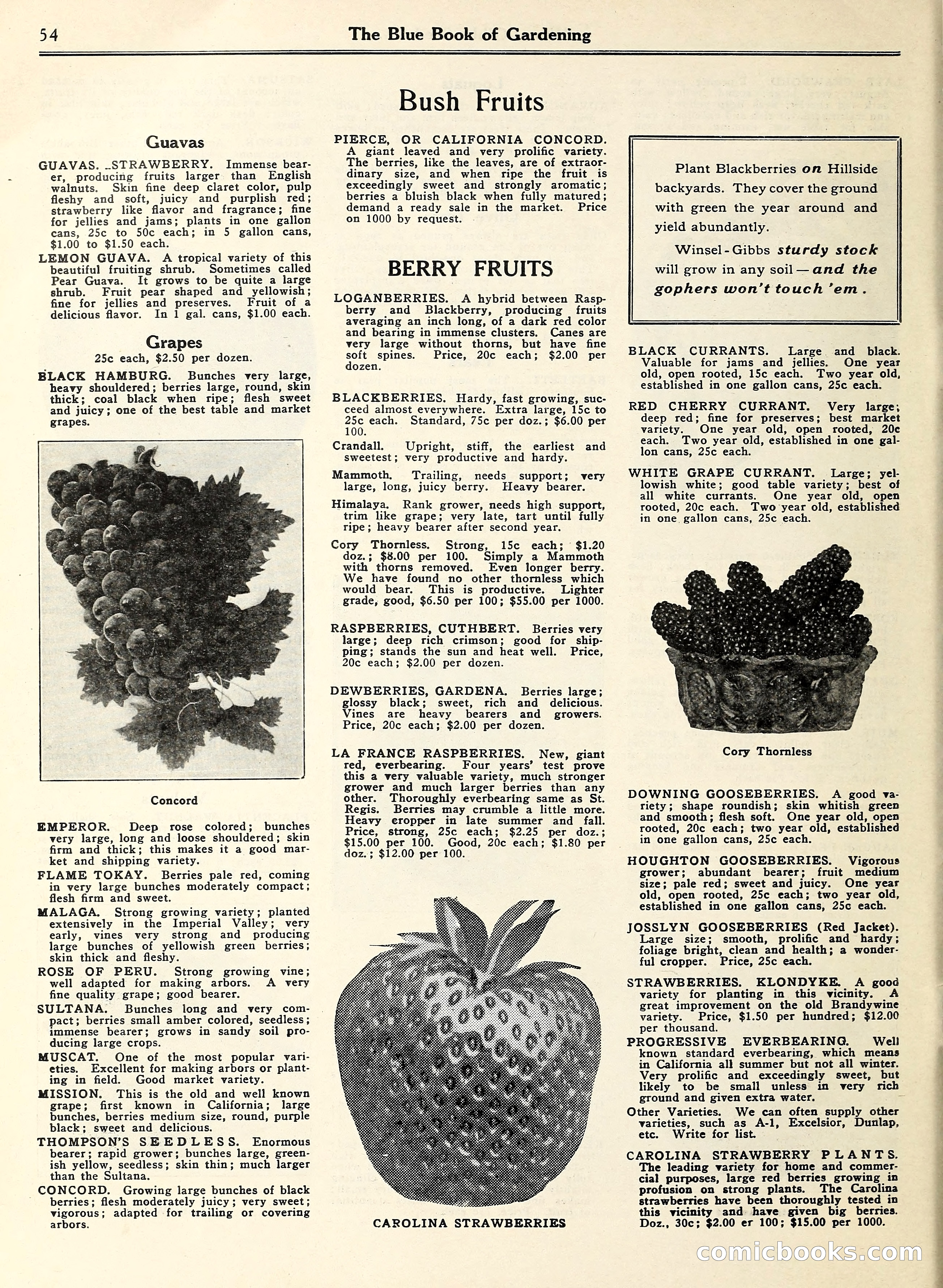 Blue Book of Gardening — page 59 of 69