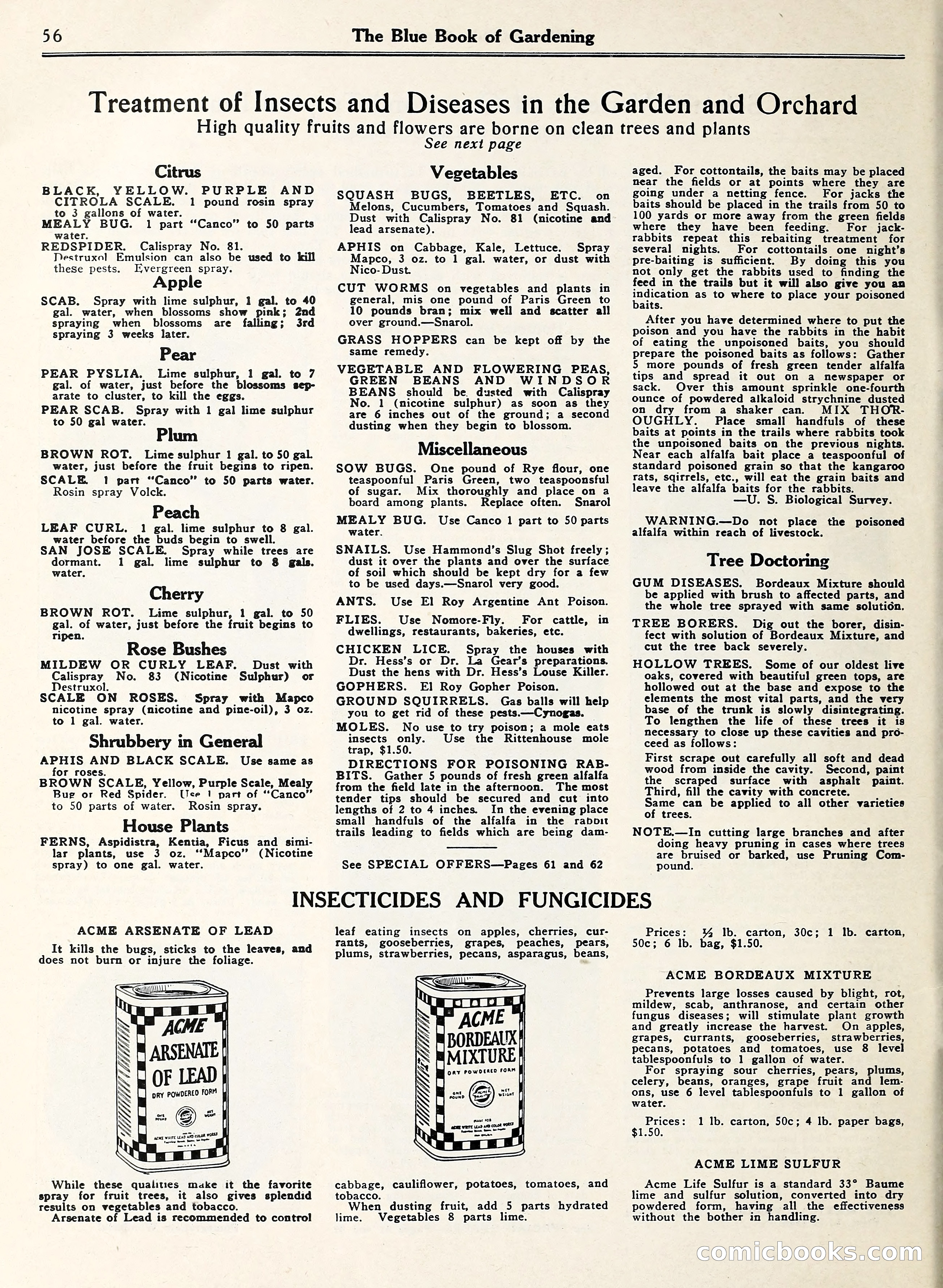 Blue Book of Gardening — page 61 of 69