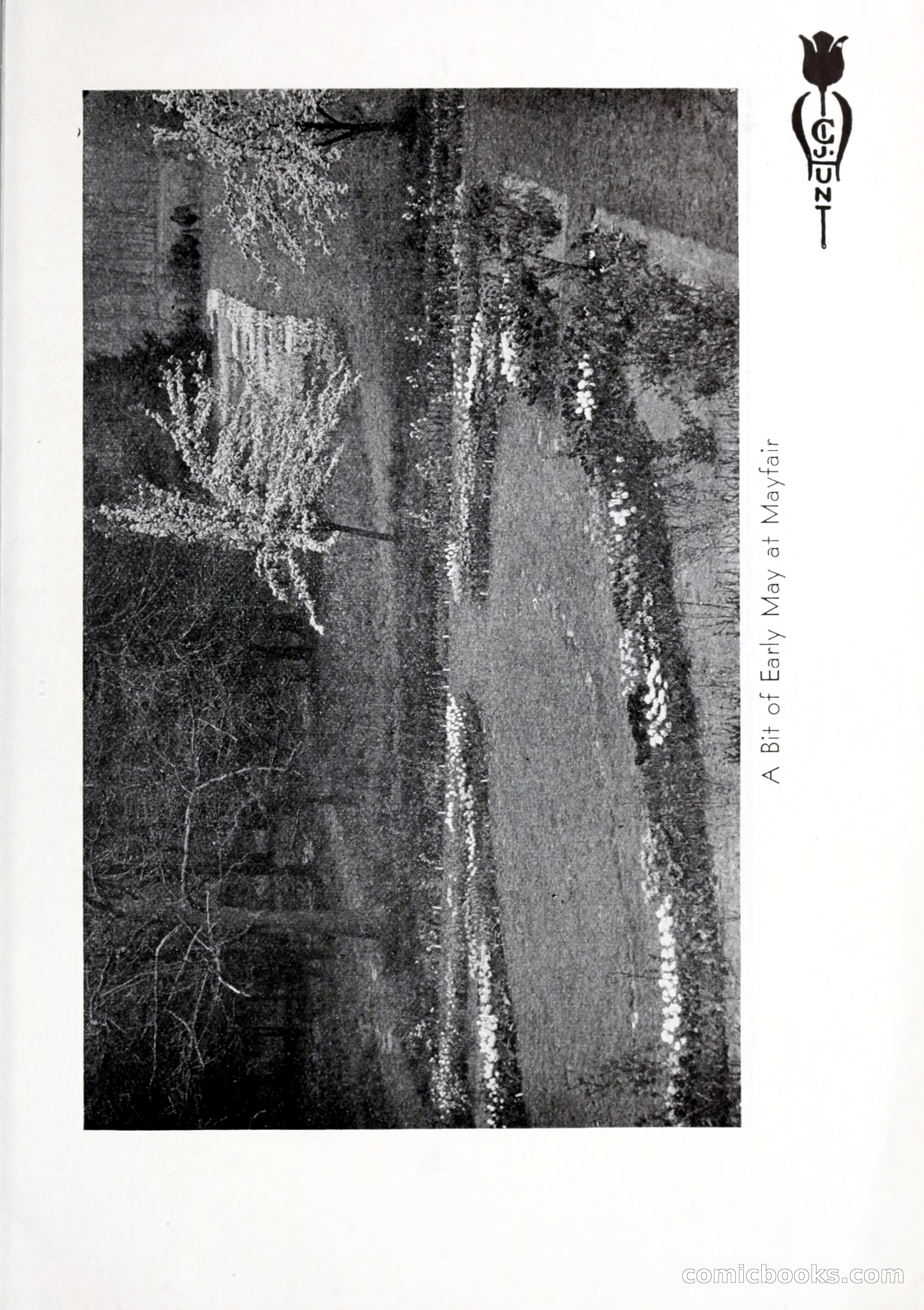 Blue Book of Bulbs, 1932 — page 24 of 121