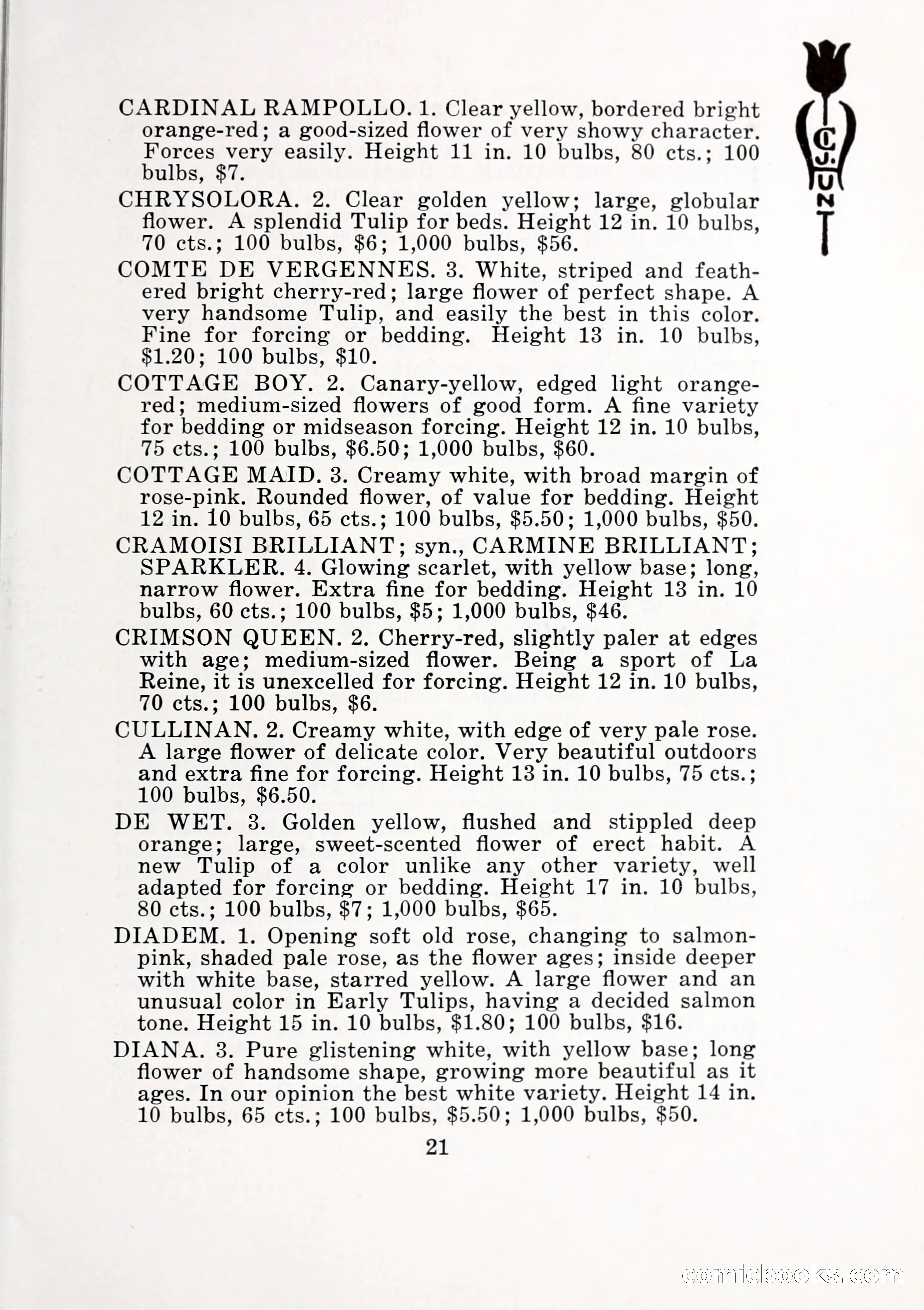 Blue Book of Bulbs, 1932 — page 26 of 121
