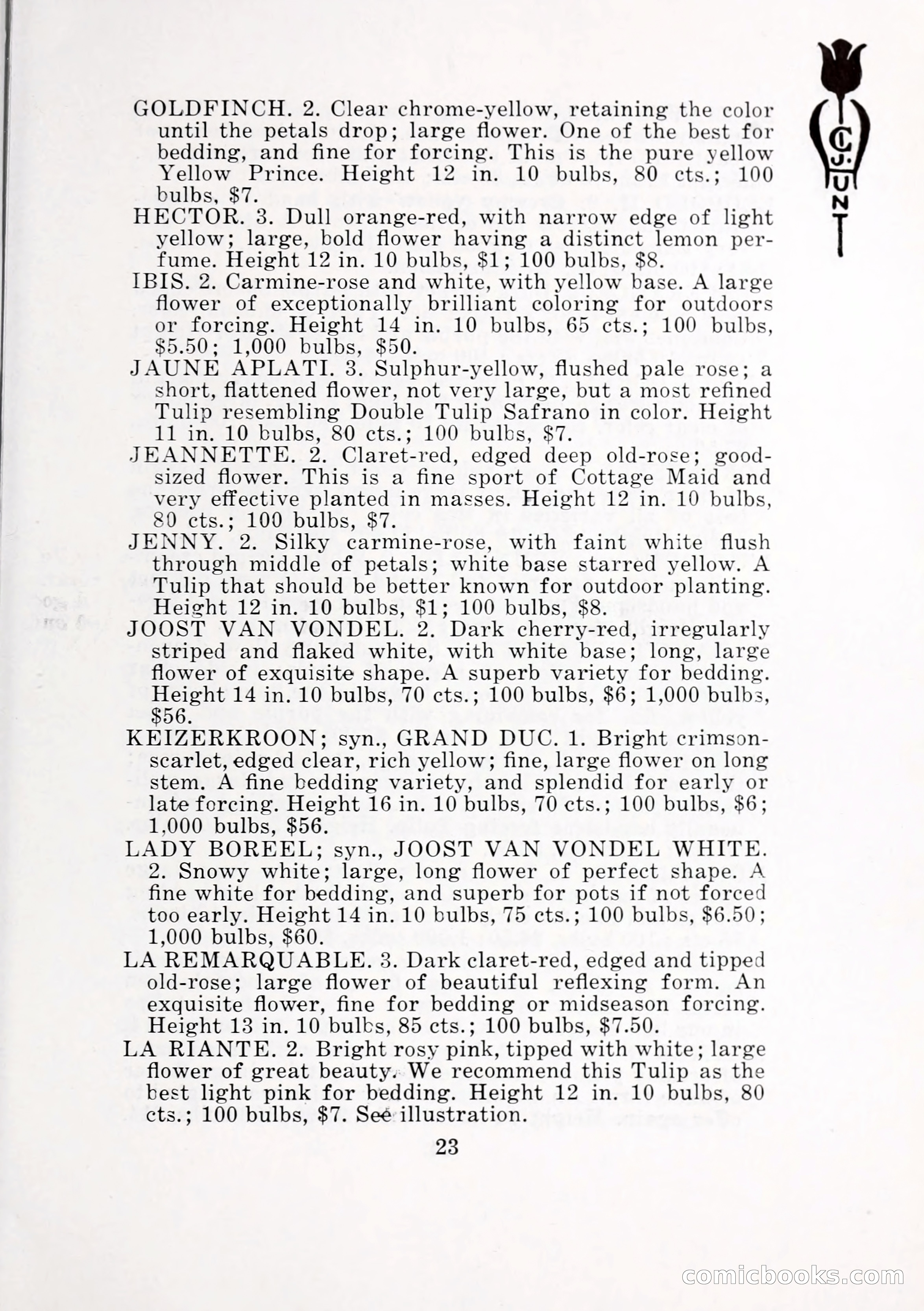 Blue Book of Bulbs, 1932 — page 28 of 121