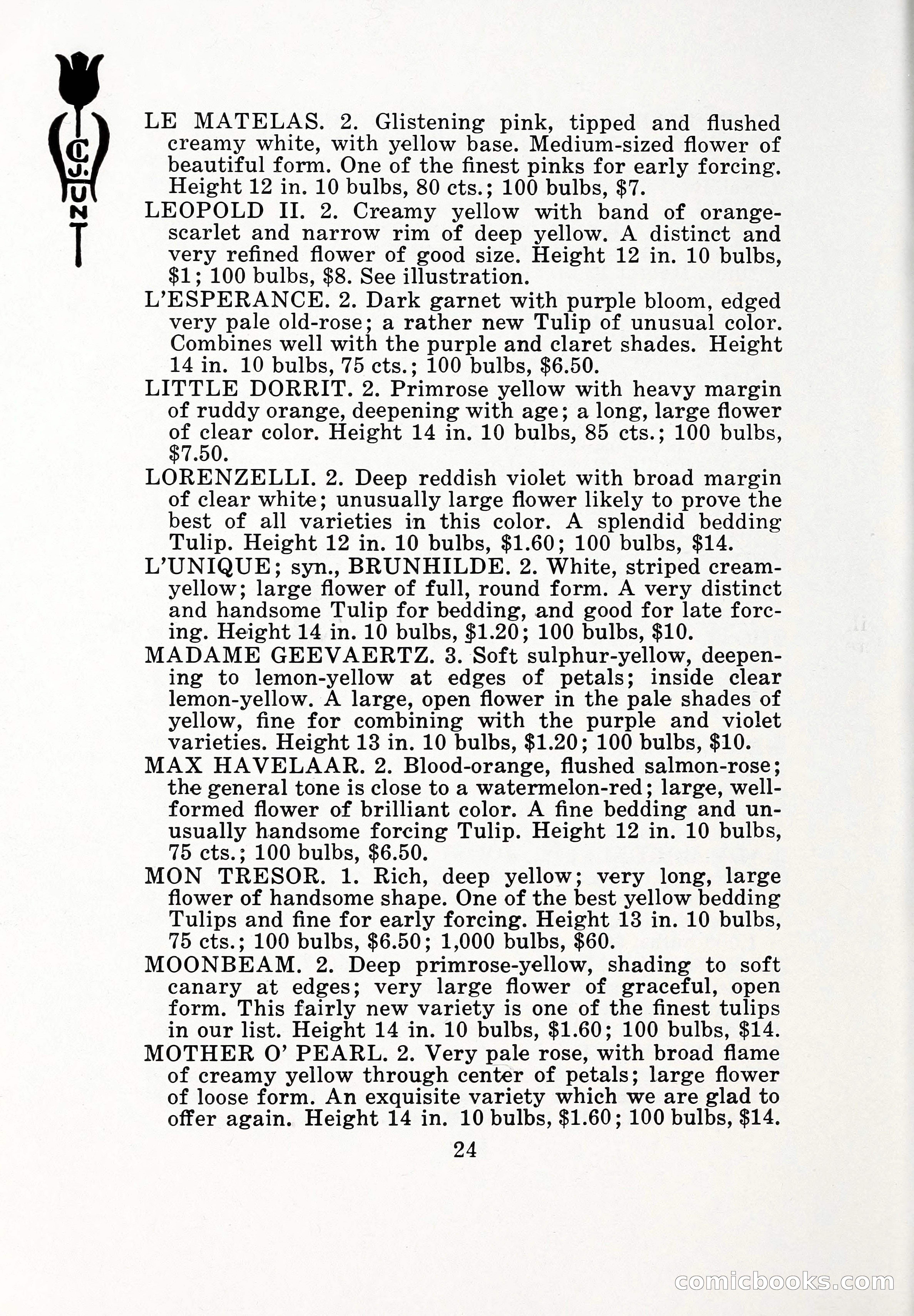 Blue Book of Bulbs, 1932 — page 29 of 121