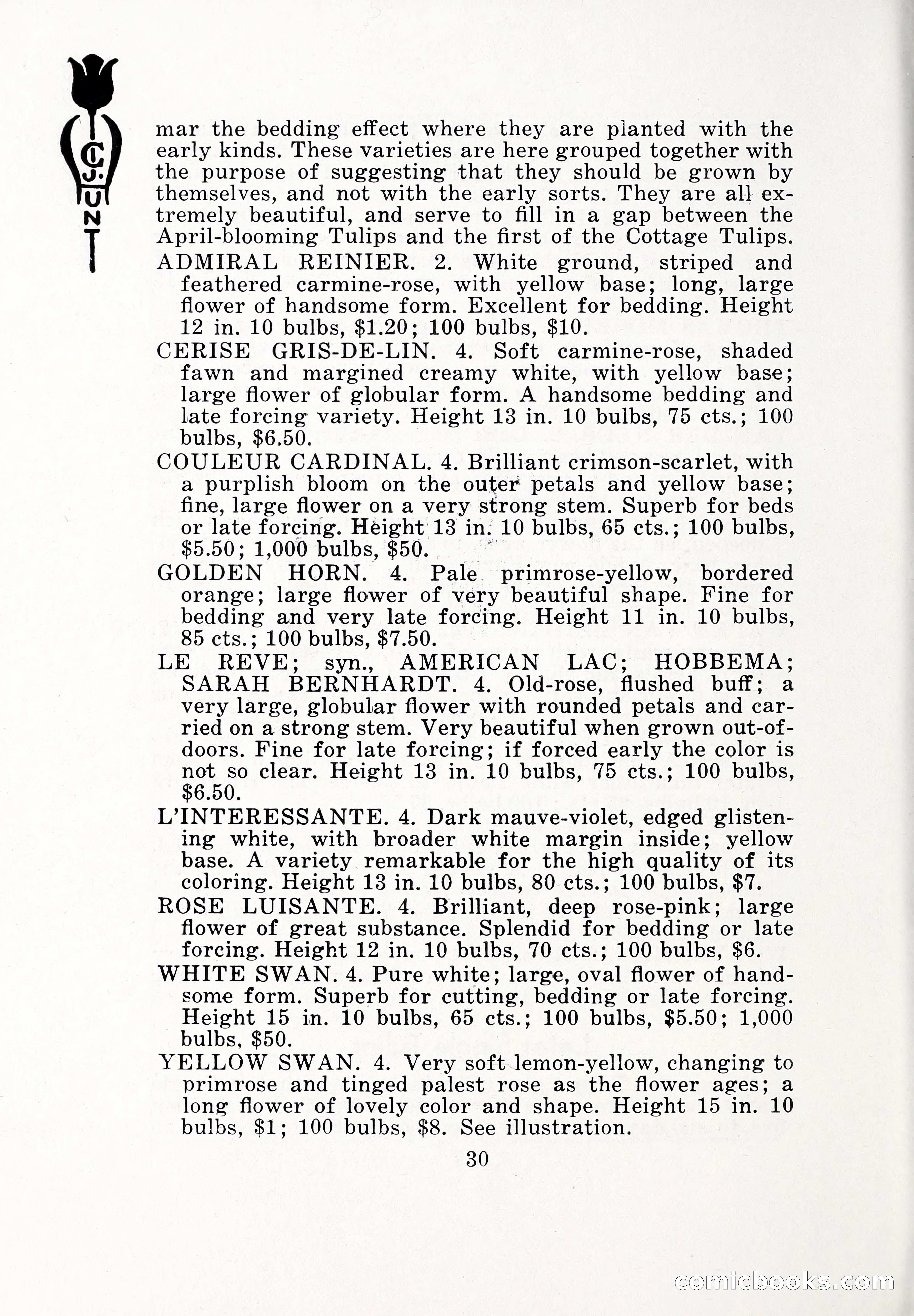 Blue Book of Bulbs, 1932 — page 35 of 121