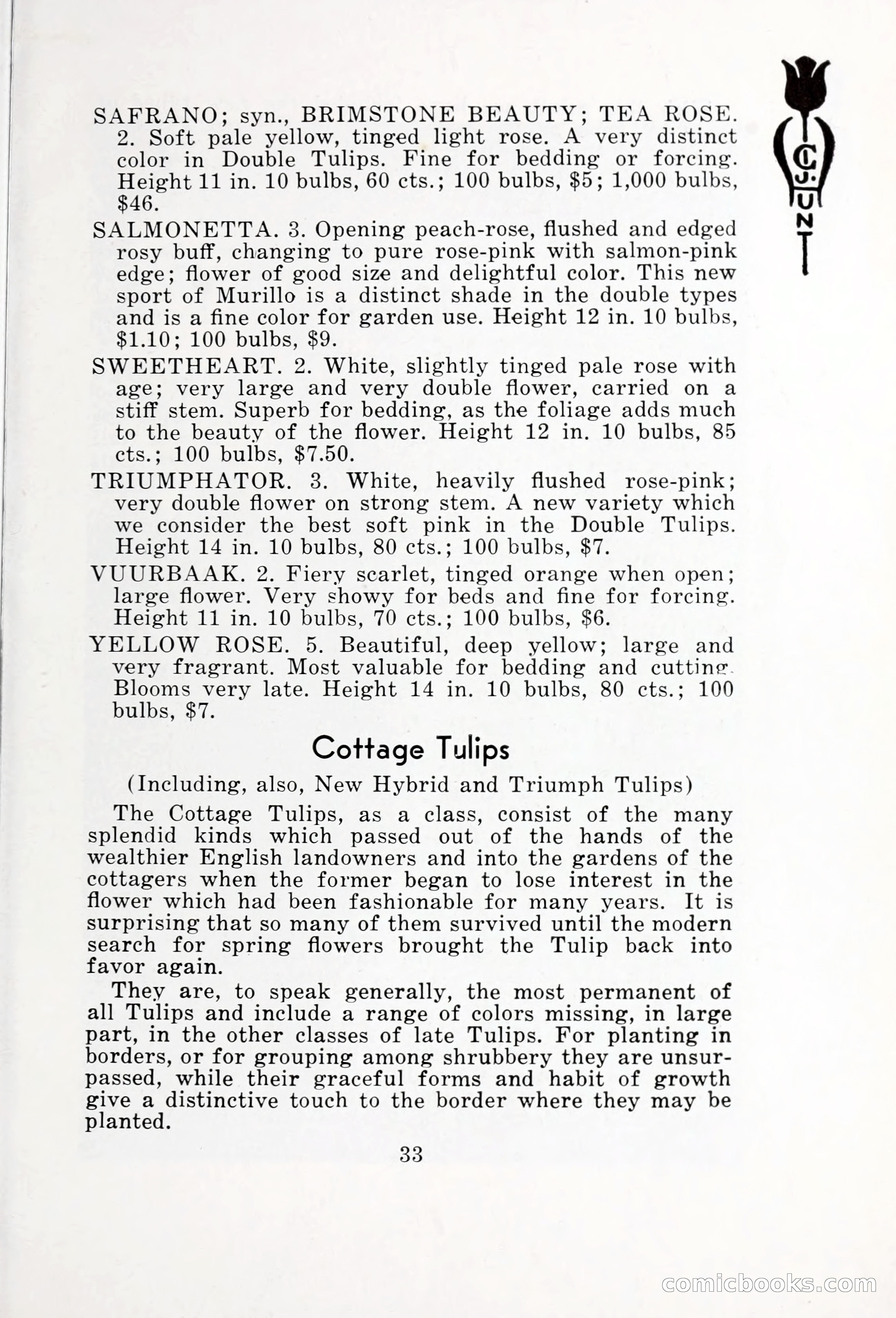 Blue Book of Bulbs, 1932 — page 38 of 121