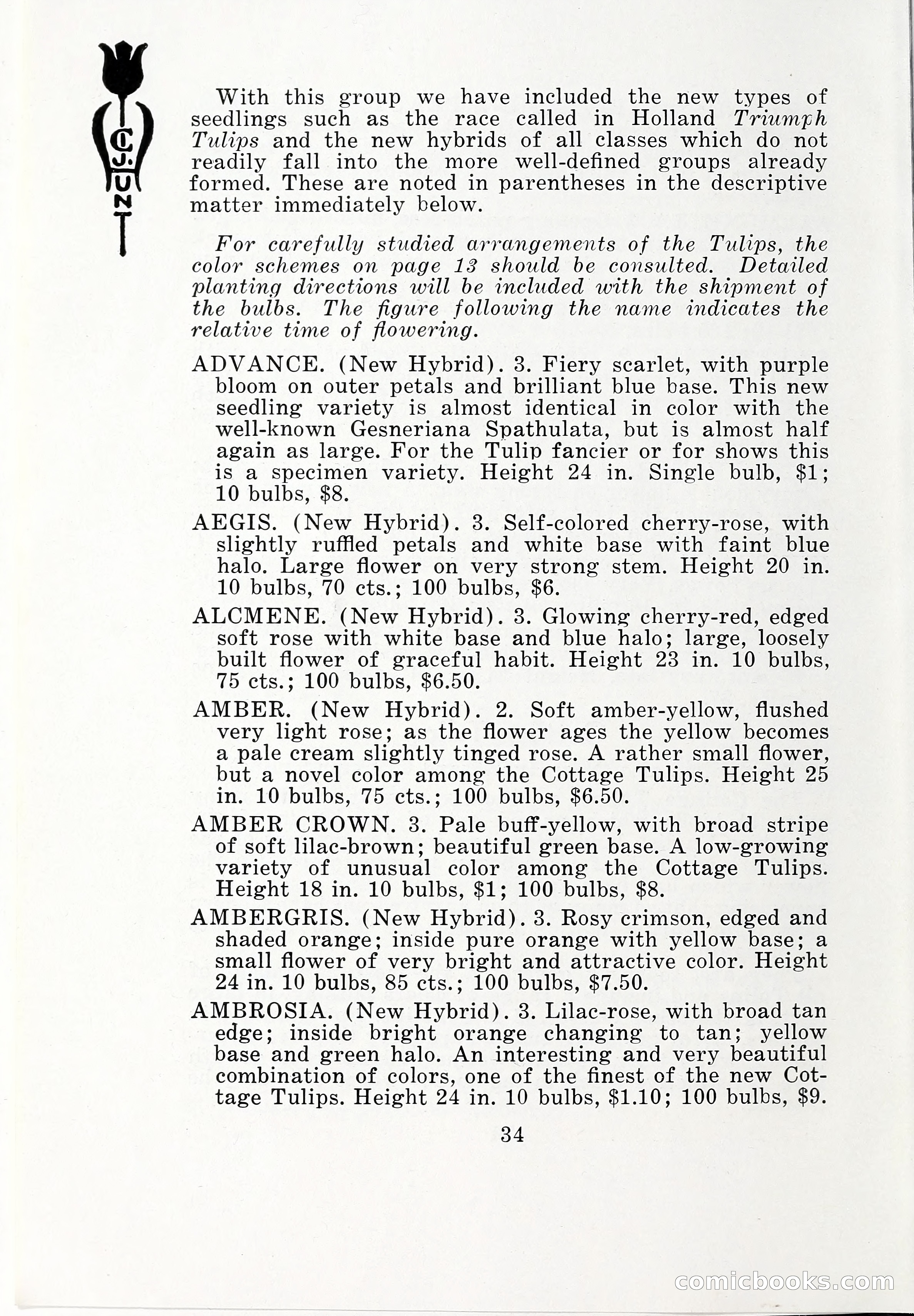 Blue Book of Bulbs, 1932 — page 39 of 121