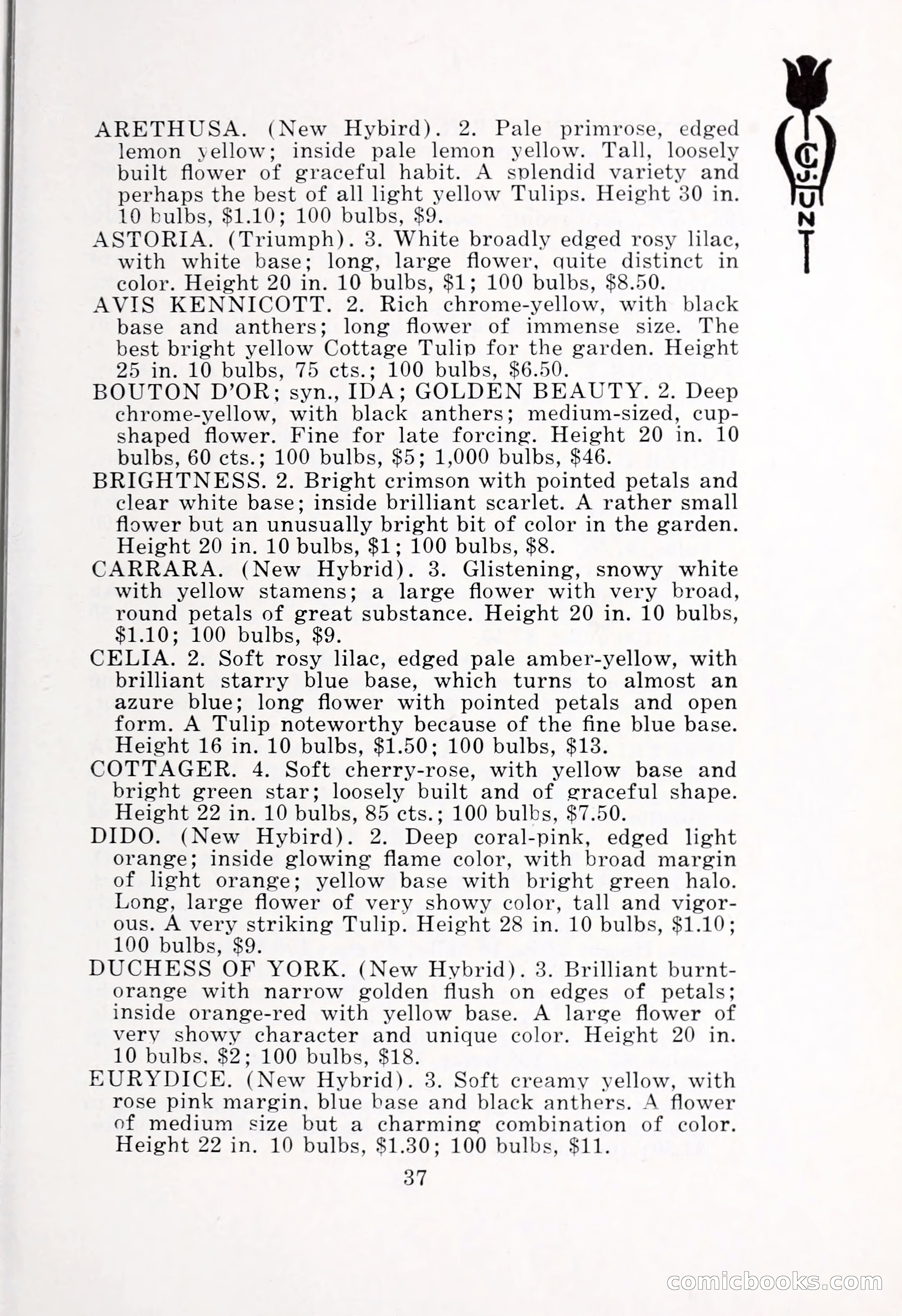 Blue Book of Bulbs, 1932 — page 42 of 121
