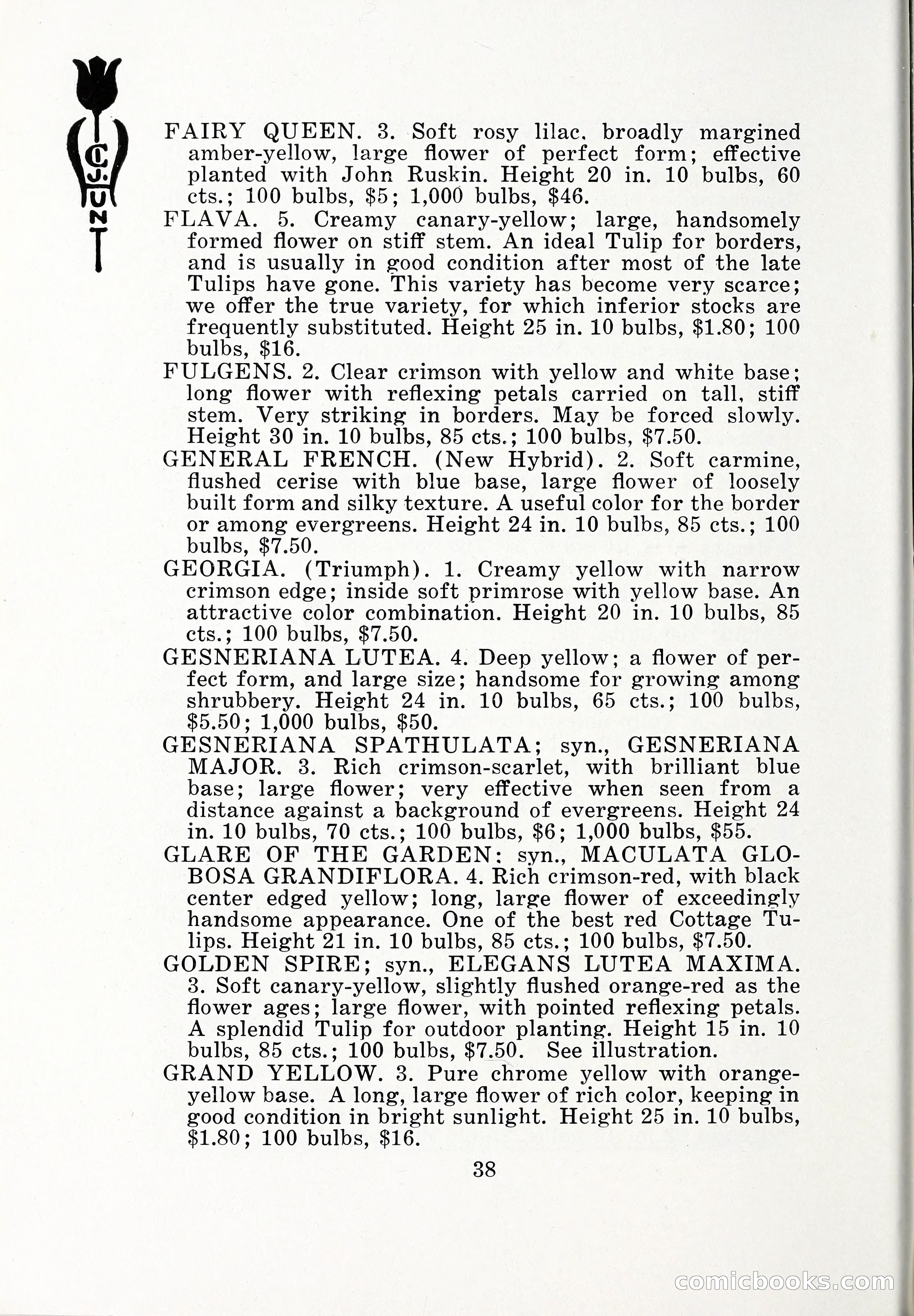 Blue Book of Bulbs, 1932 — page 43 of 121