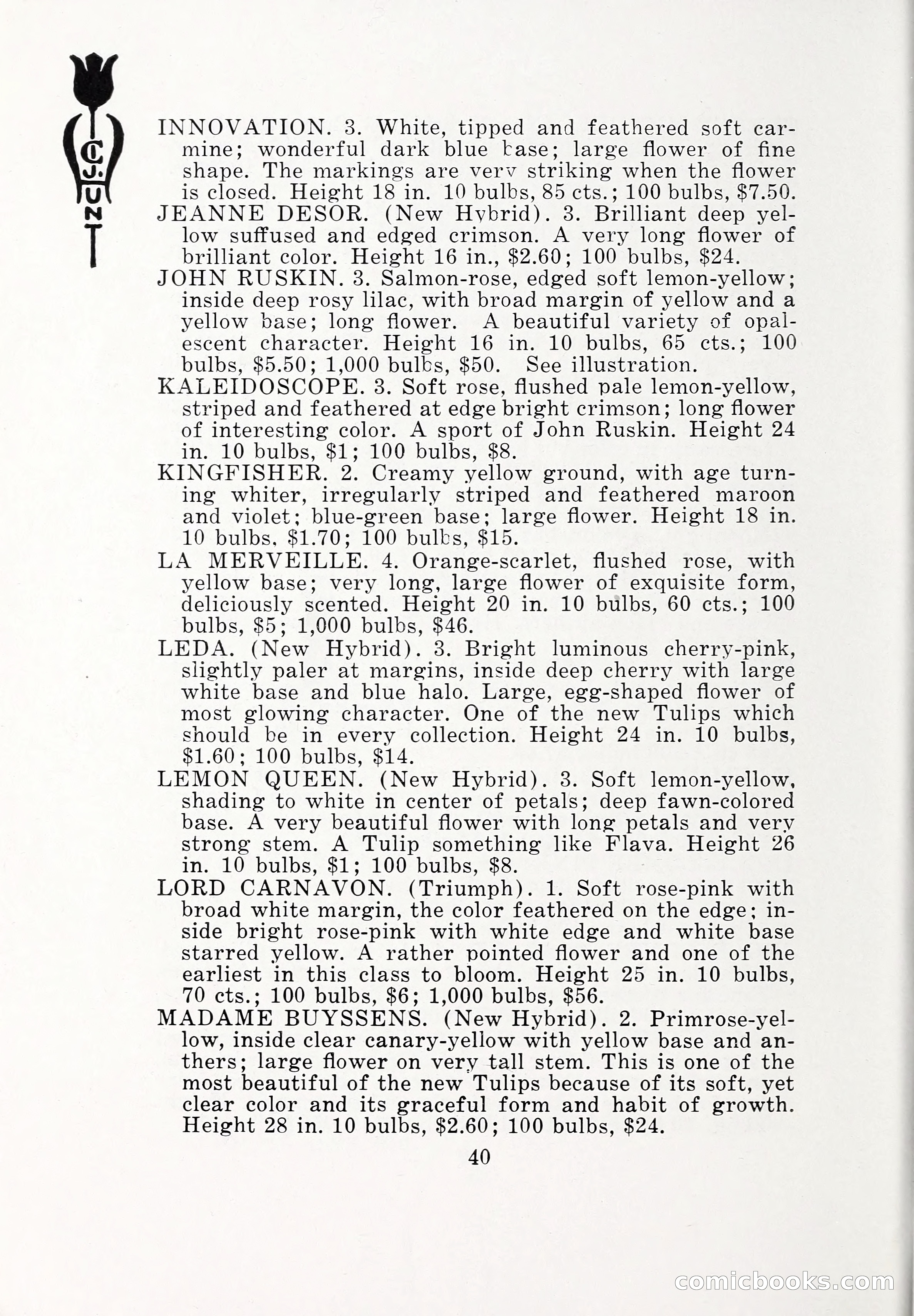 Blue Book of Bulbs, 1932 — page 45 of 121