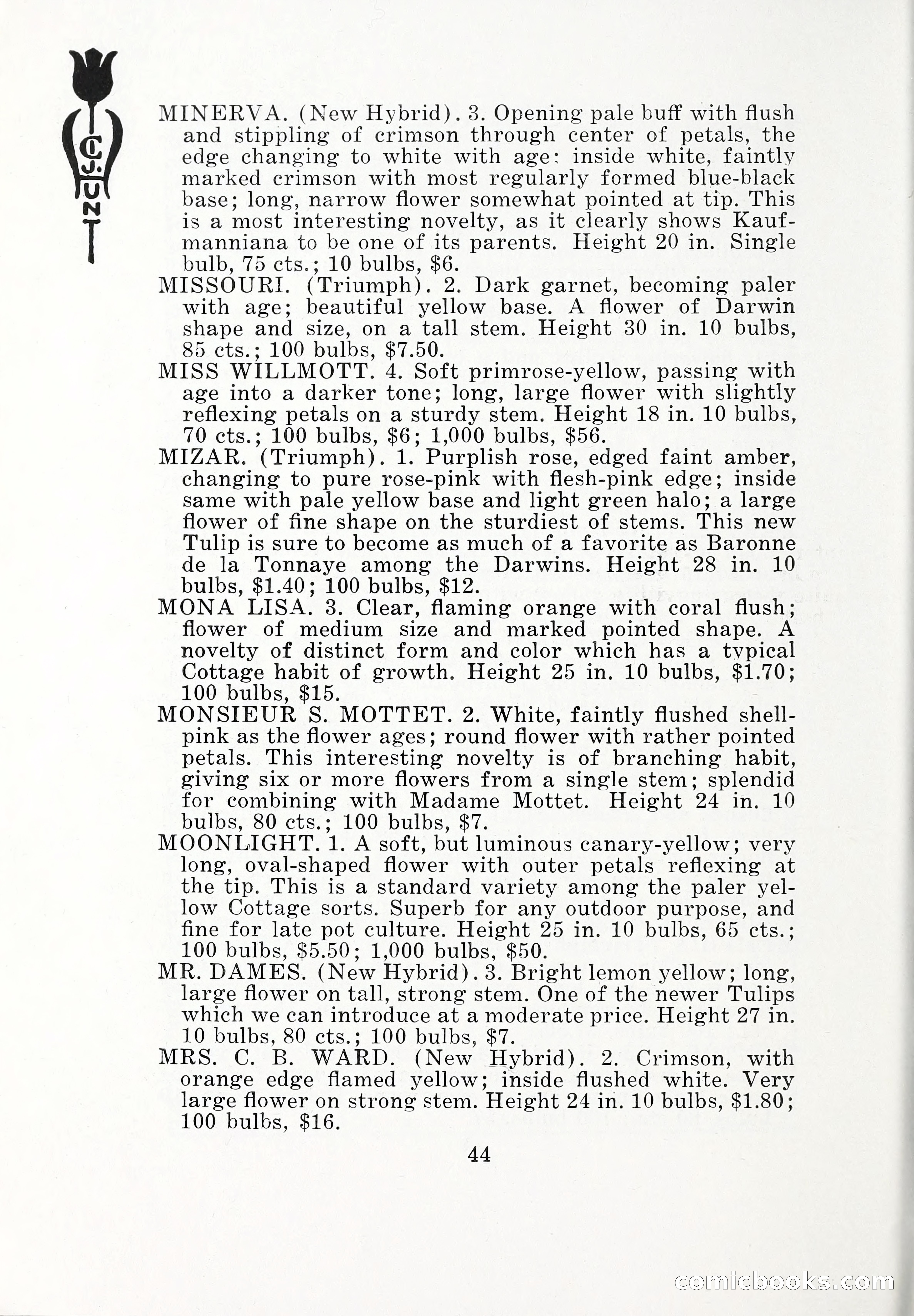 Blue Book of Bulbs, 1932 — page 49 of 121