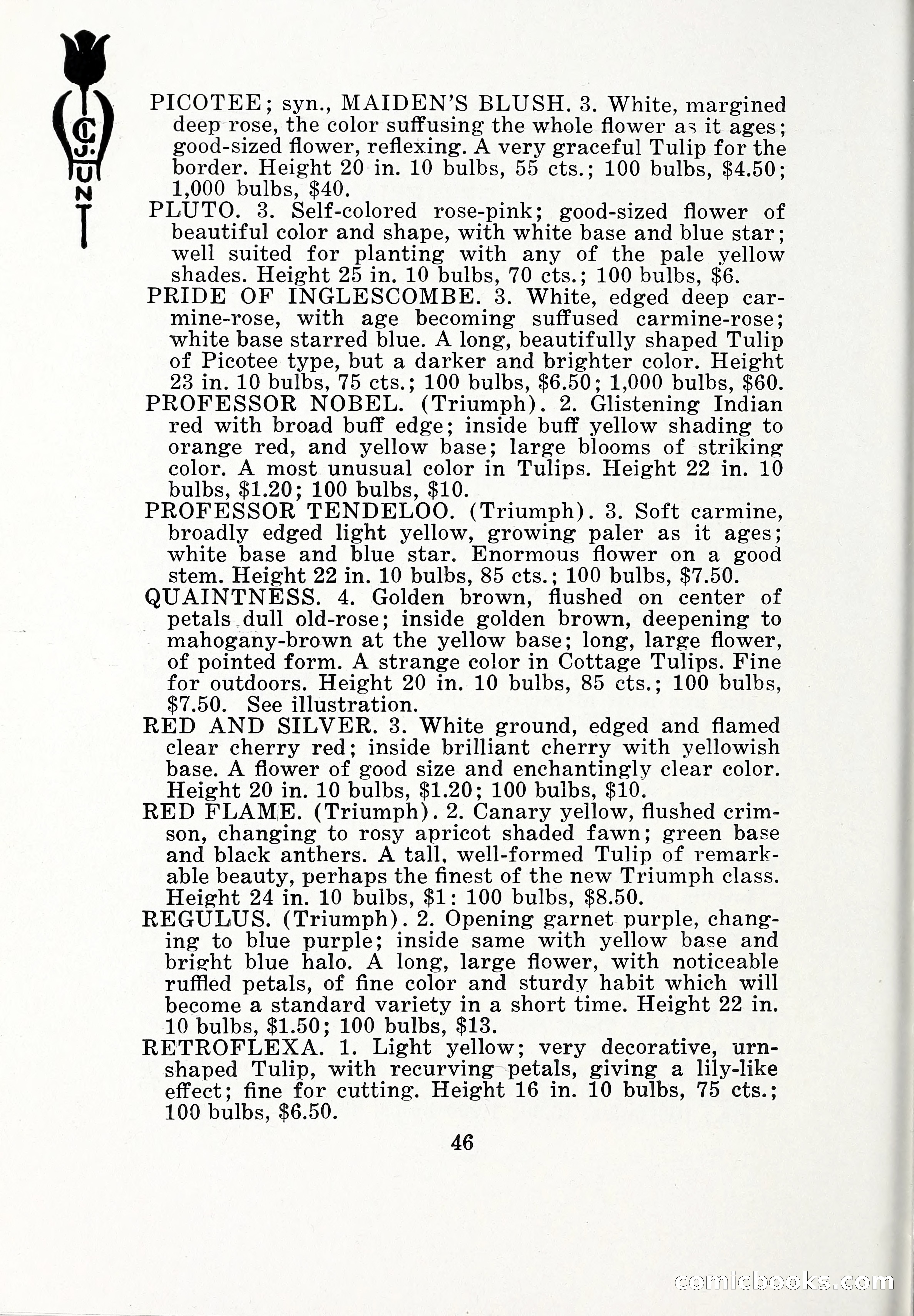 Blue Book of Bulbs, 1932 — page 51 of 121