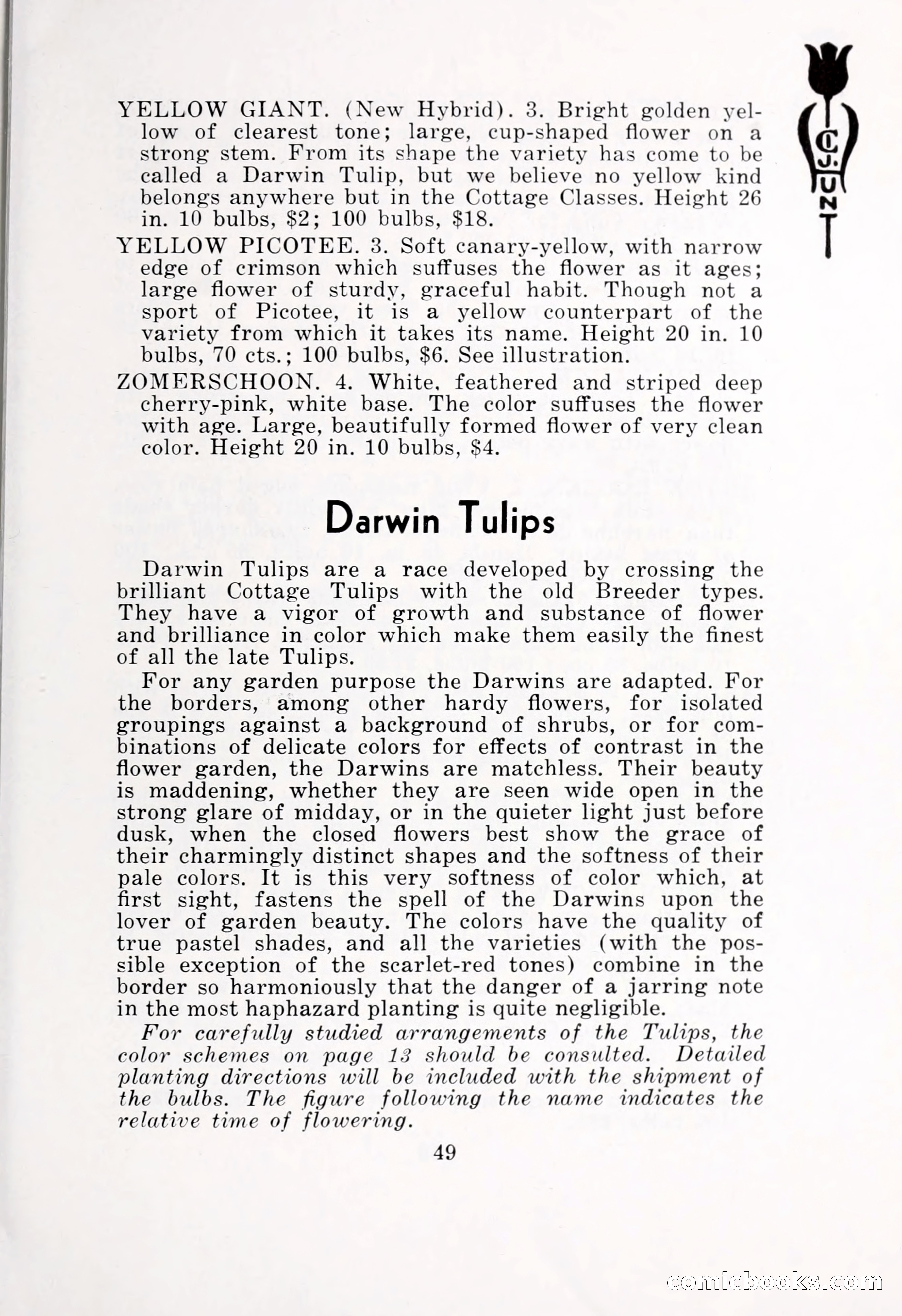 Blue Book of Bulbs, 1932 — page 54 of 121