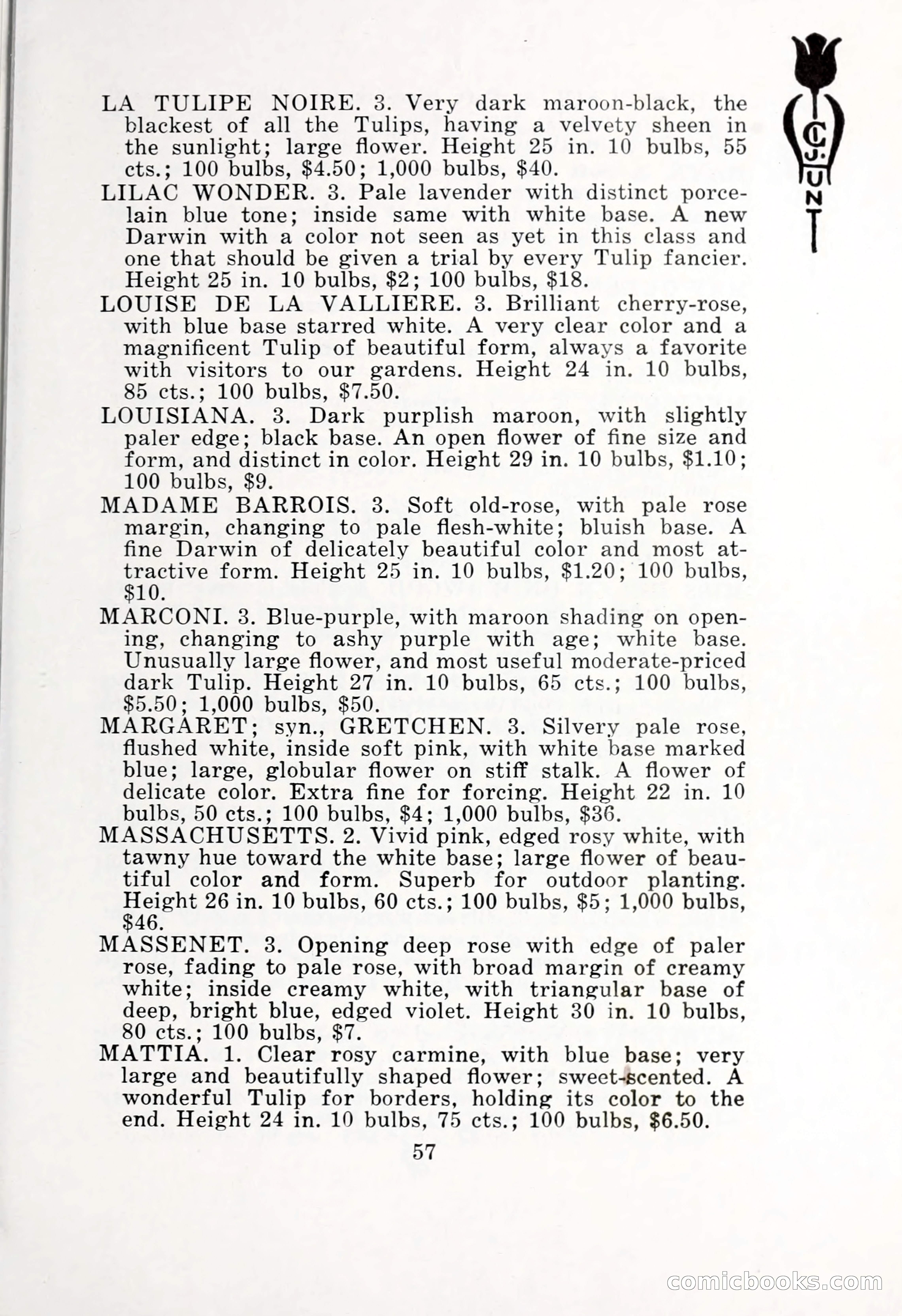 Blue Book of Bulbs, 1932 — page 62 of 121
