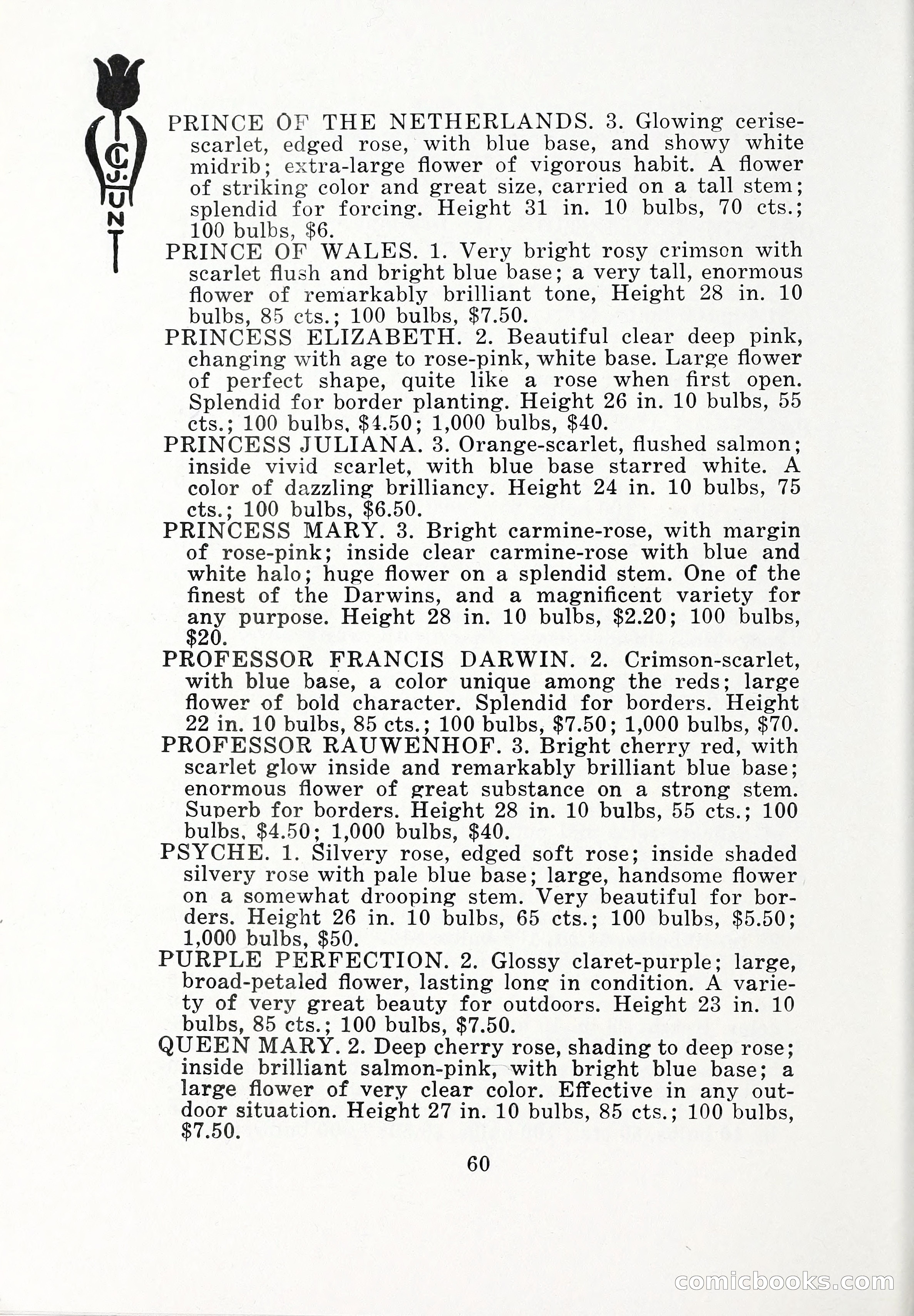 Blue Book of Bulbs, 1932 — page 65 of 121