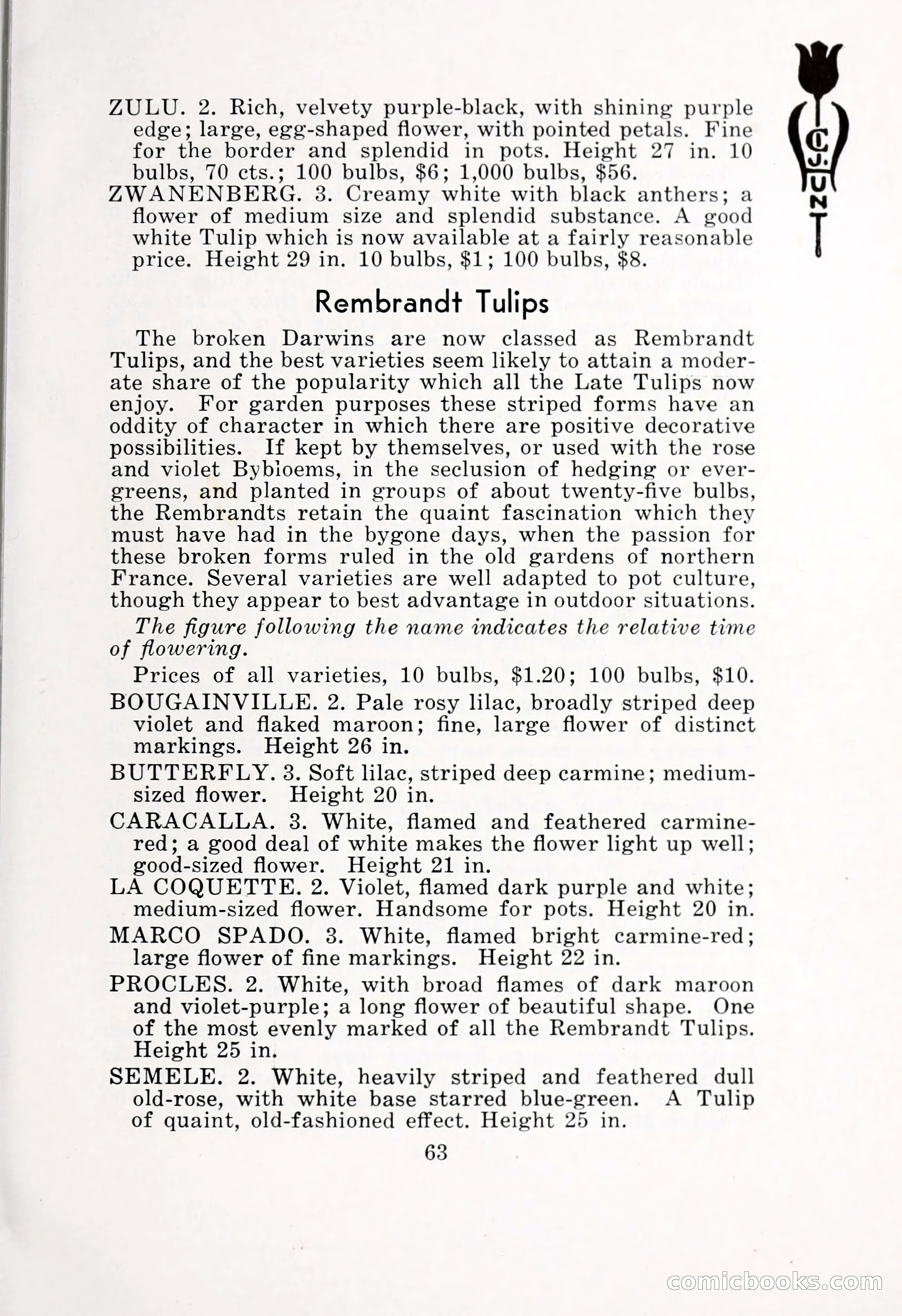 Blue Book of Bulbs, 1932 — page 68 of 121