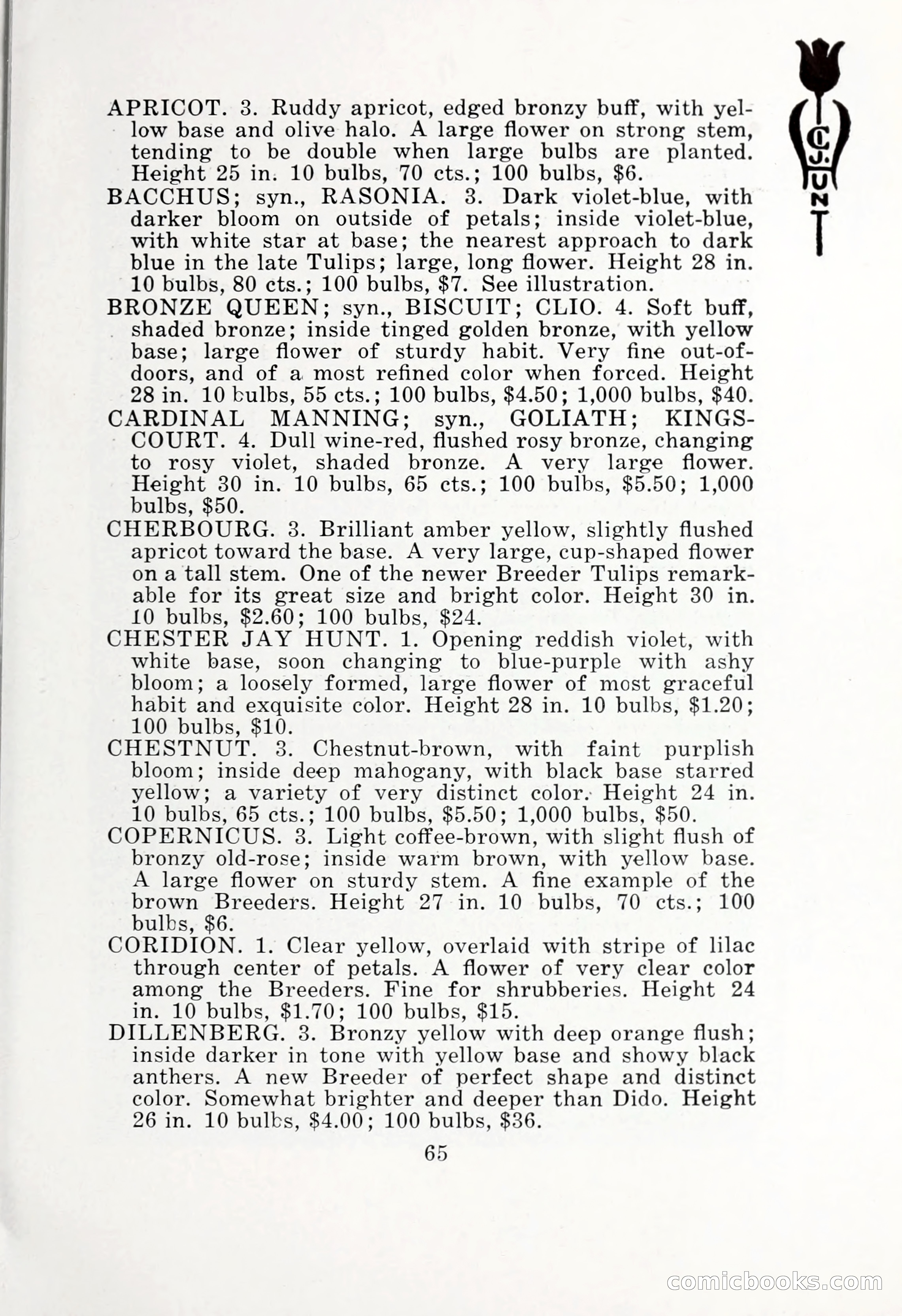 Blue Book of Bulbs, 1932 — page 70 of 121