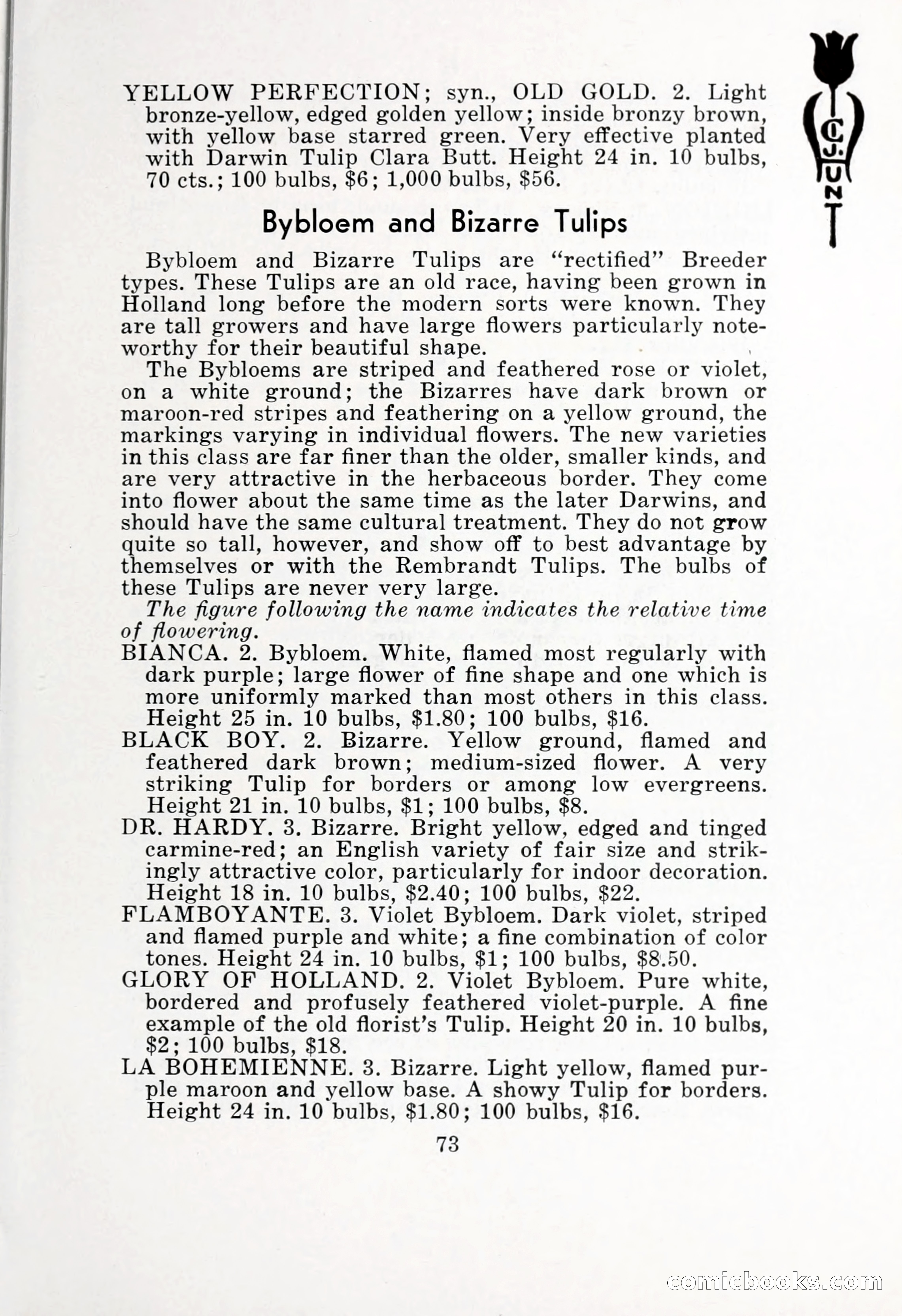 Blue Book of Bulbs, 1932 — page 78 of 121