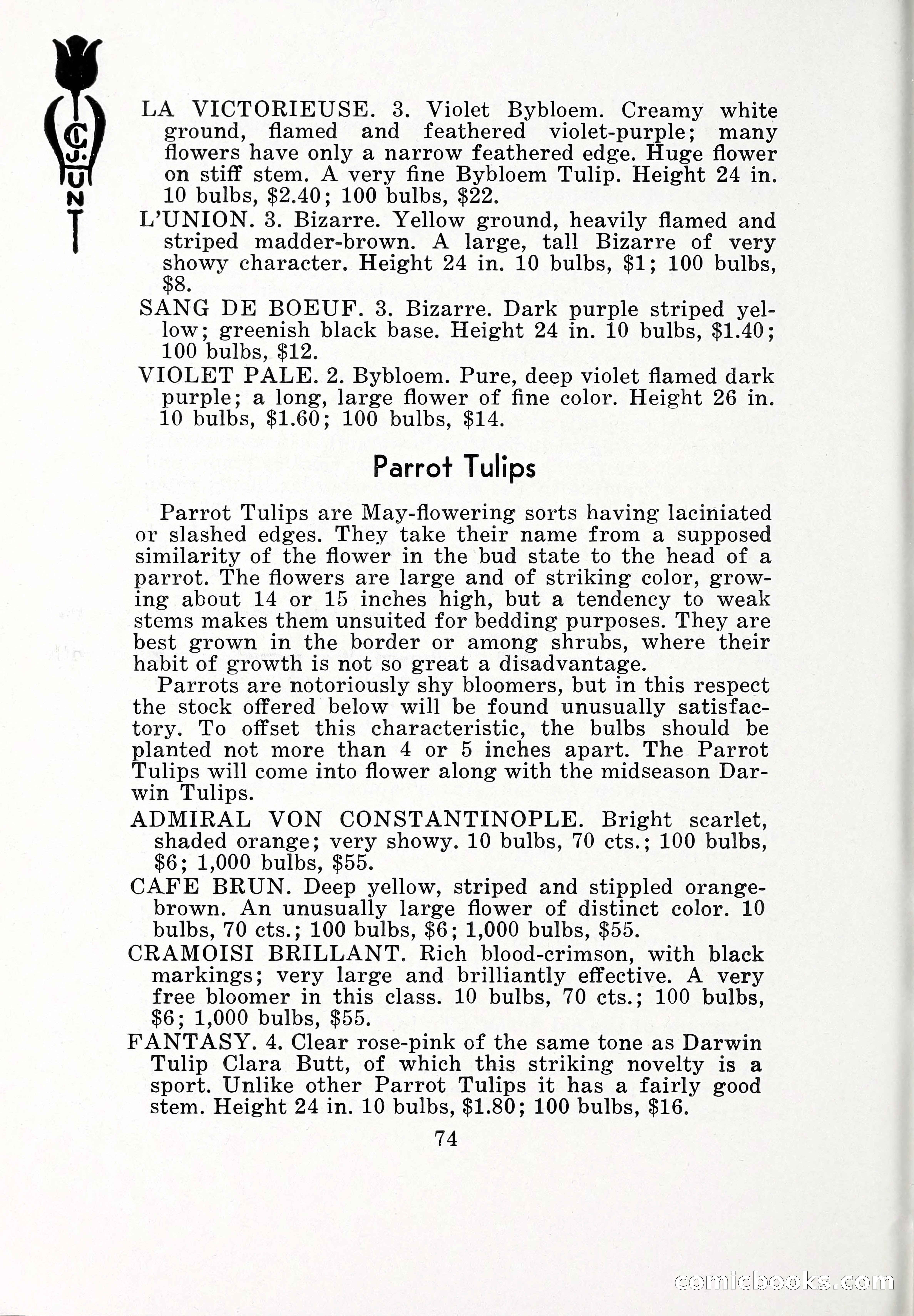 Blue Book of Bulbs, 1932 — page 79 of 121