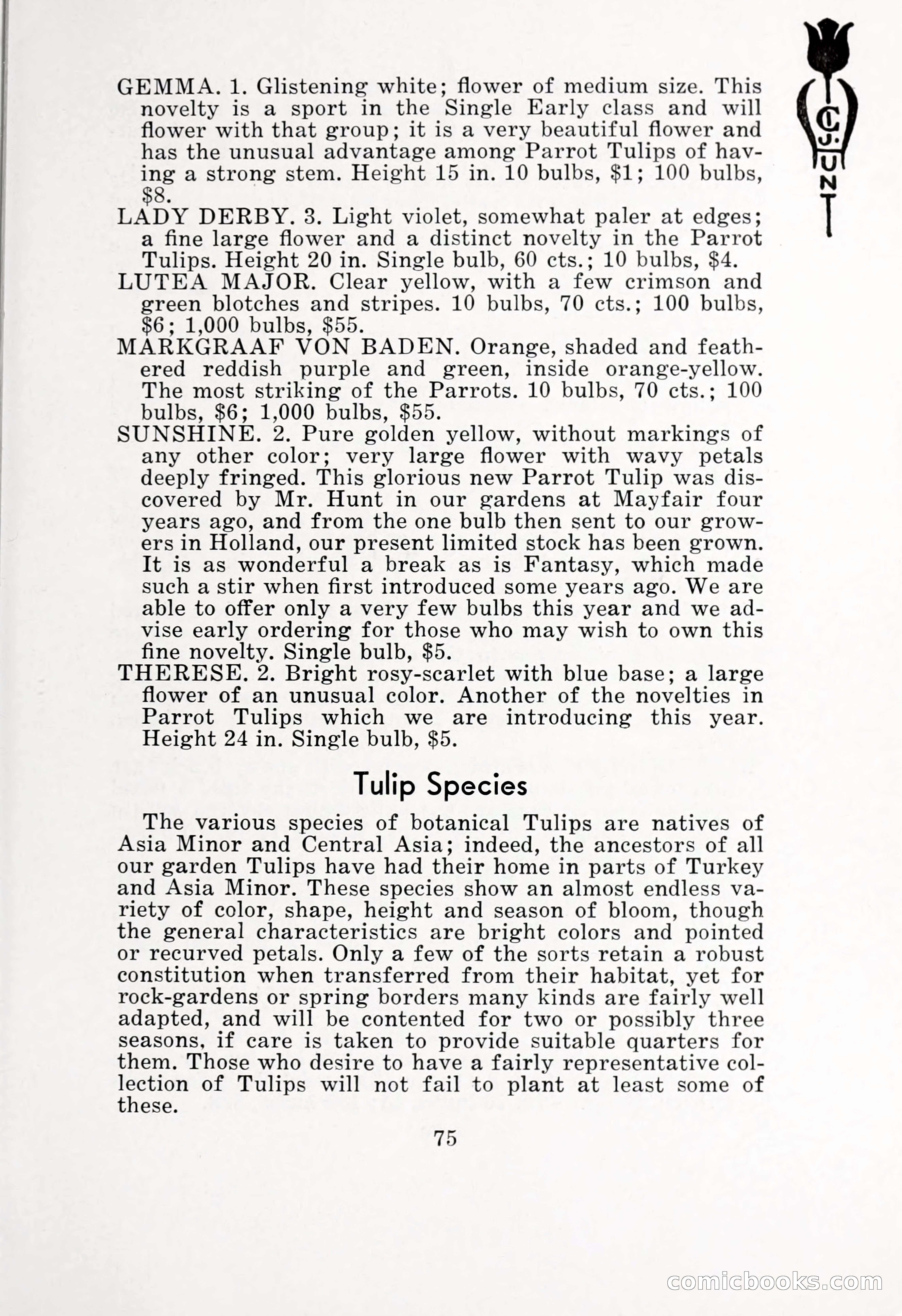 Blue Book of Bulbs, 1932 — page 80 of 121