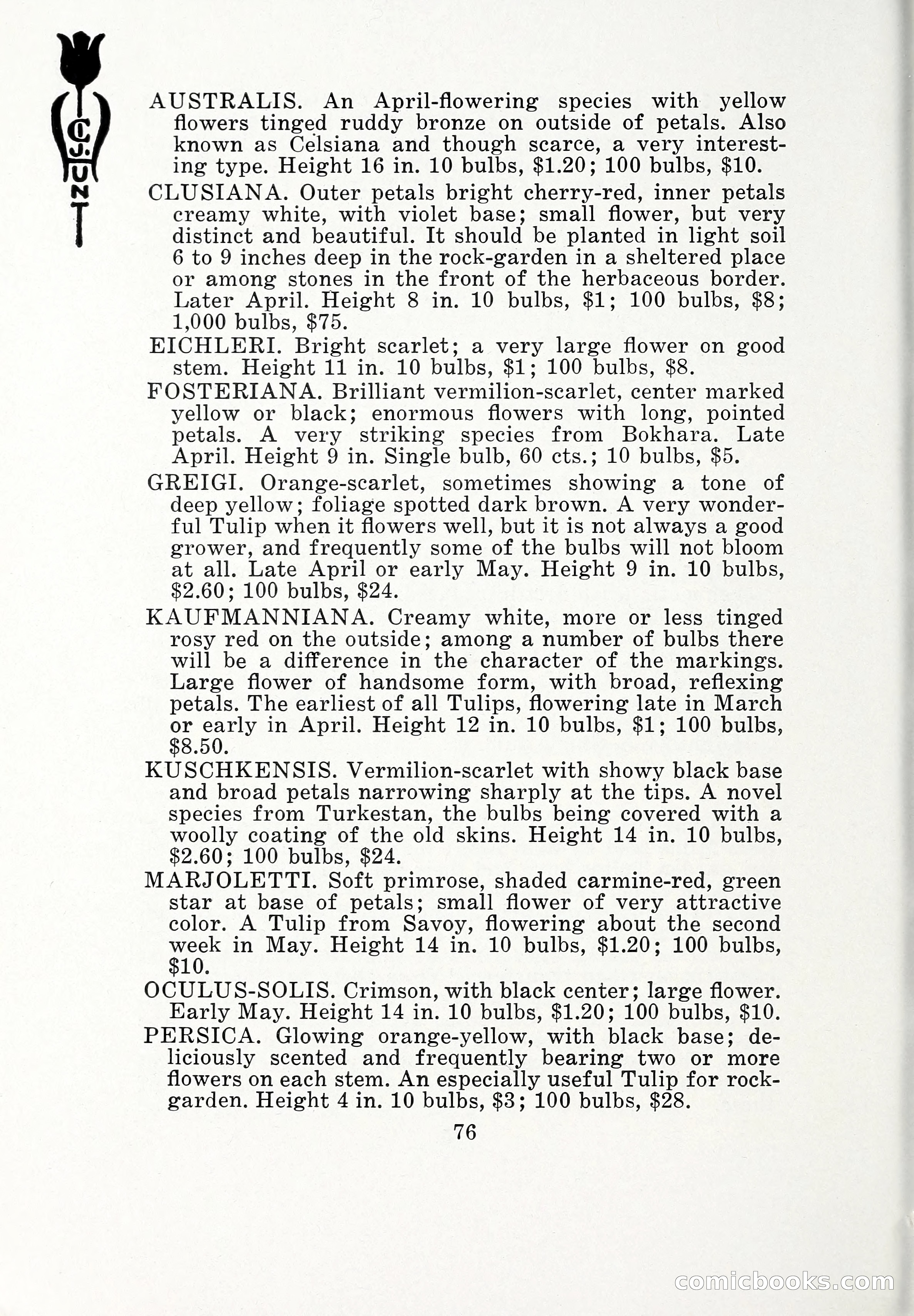 Blue Book of Bulbs, 1932 — page 81 of 121