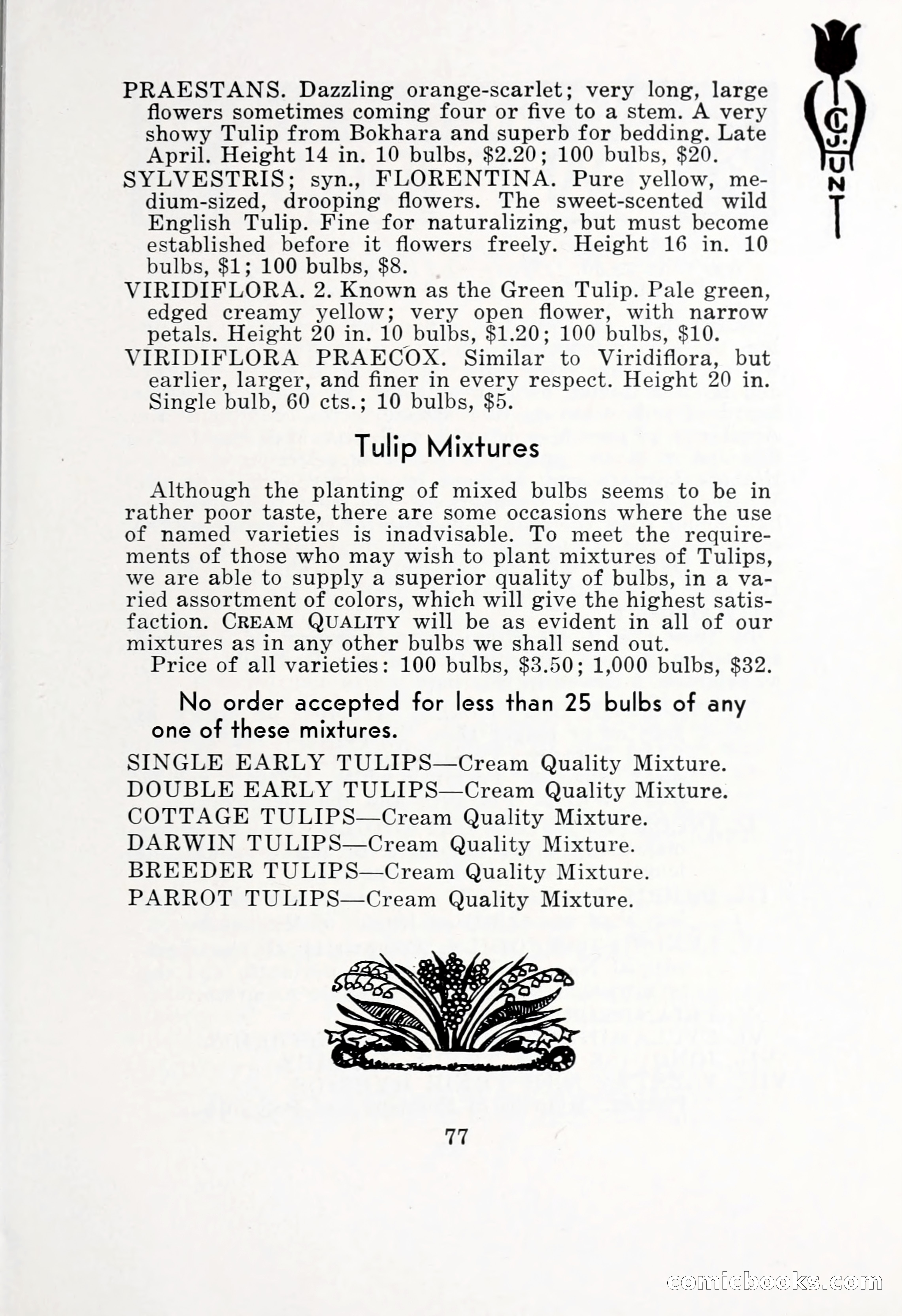 Blue Book of Bulbs, 1932 — page 82 of 121