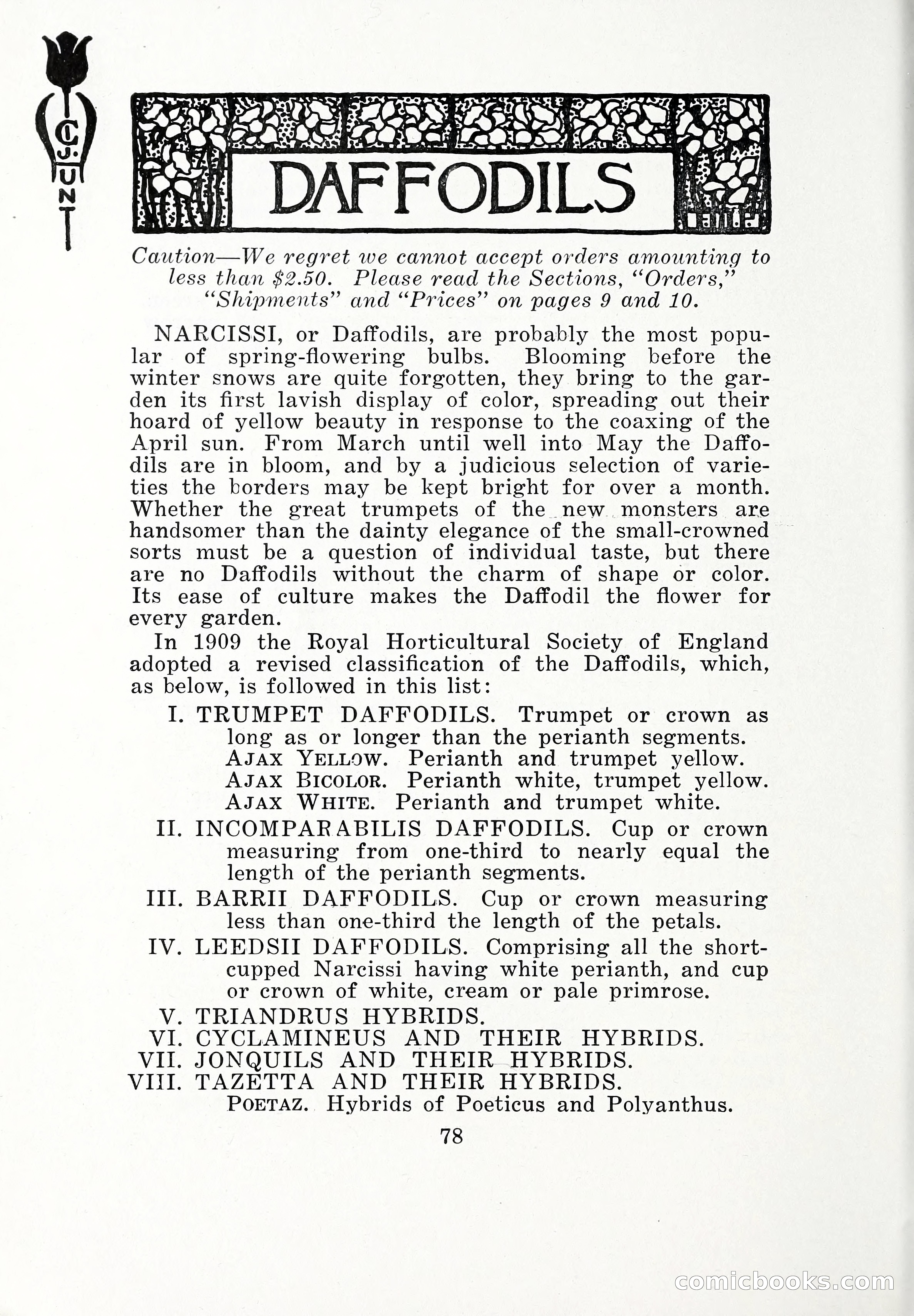 Blue Book of Bulbs, 1932 — page 83 of 121