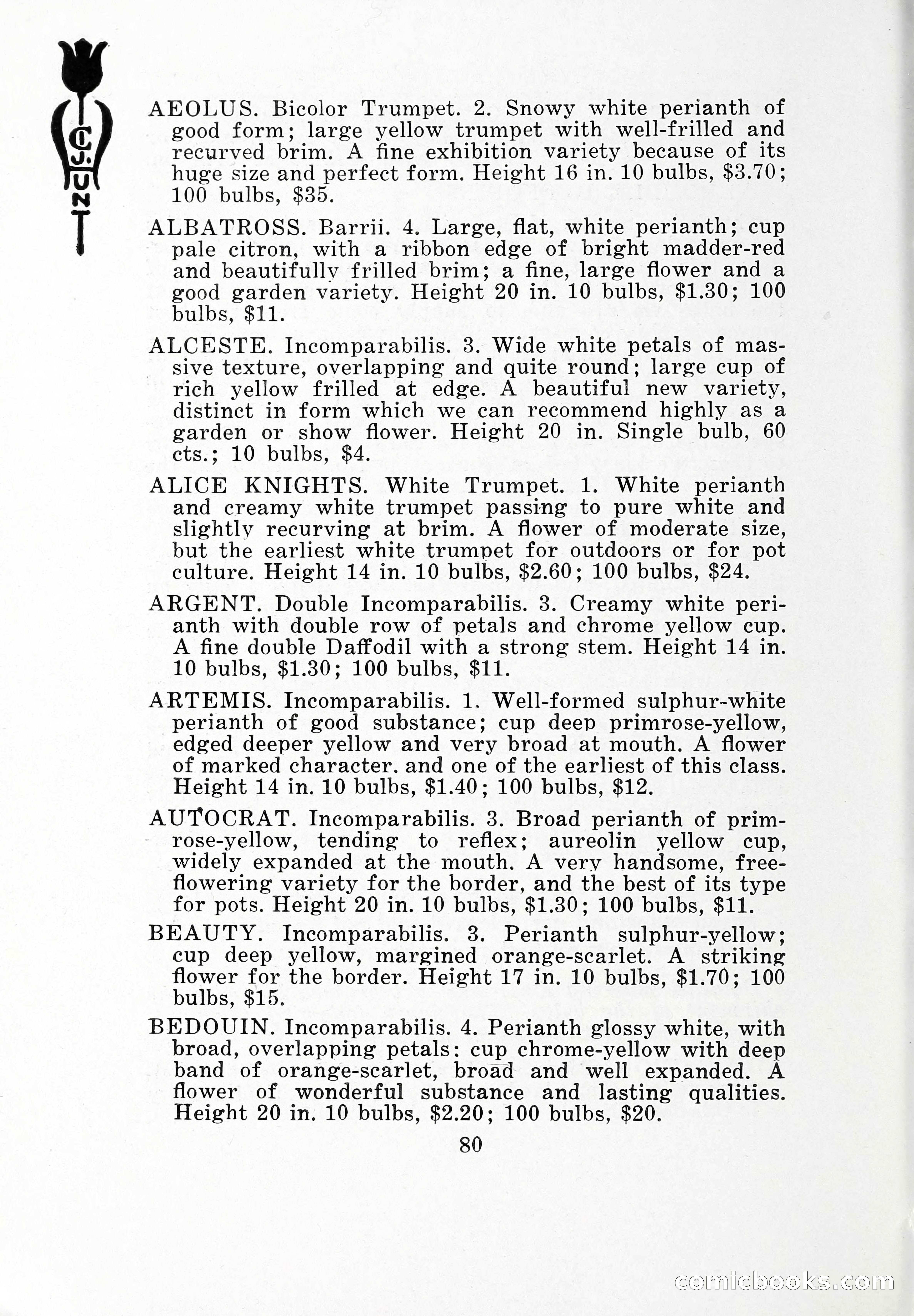 Blue Book of Bulbs, 1932 — page 85 of 121