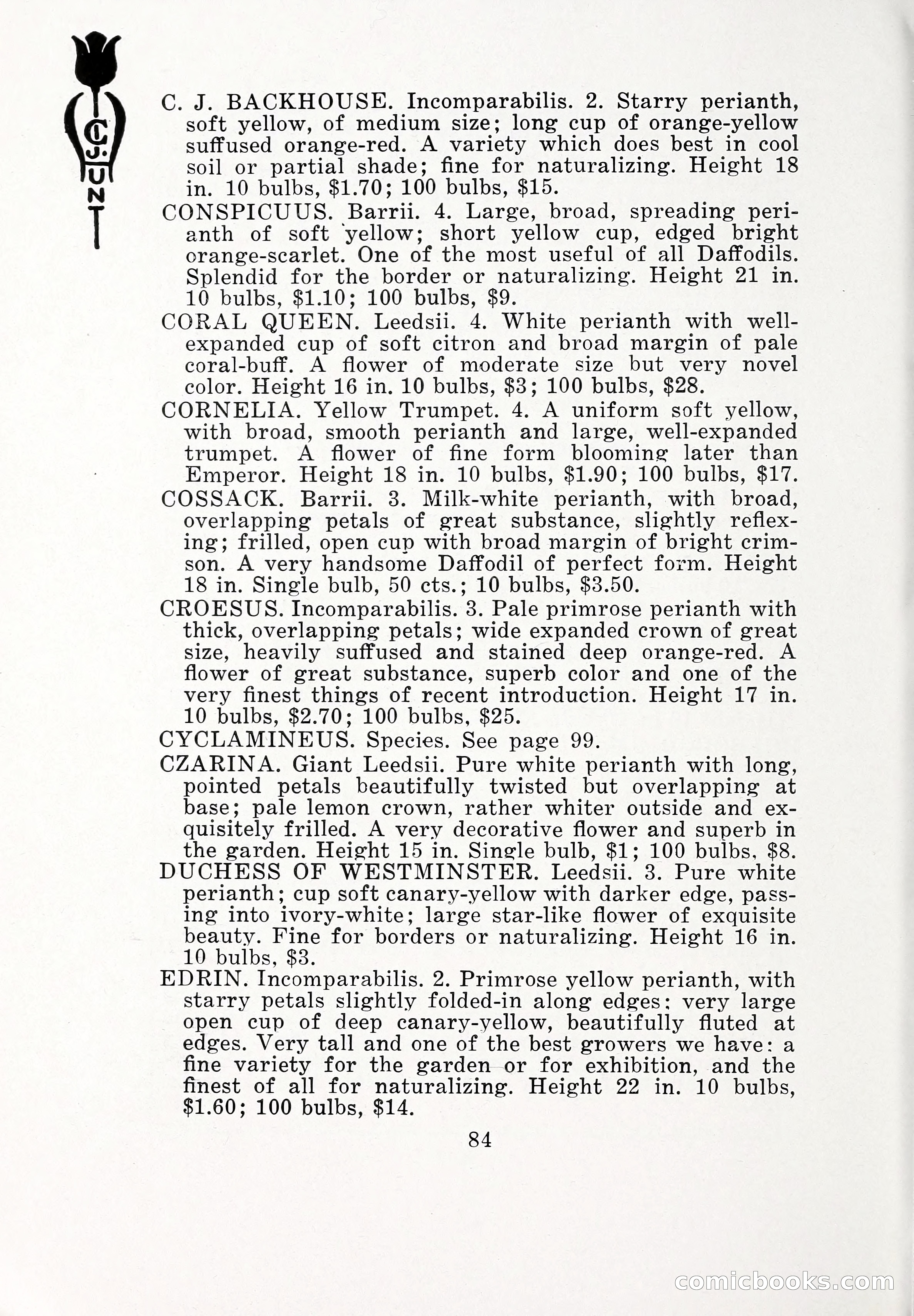 Blue Book of Bulbs, 1932 — page 89 of 121