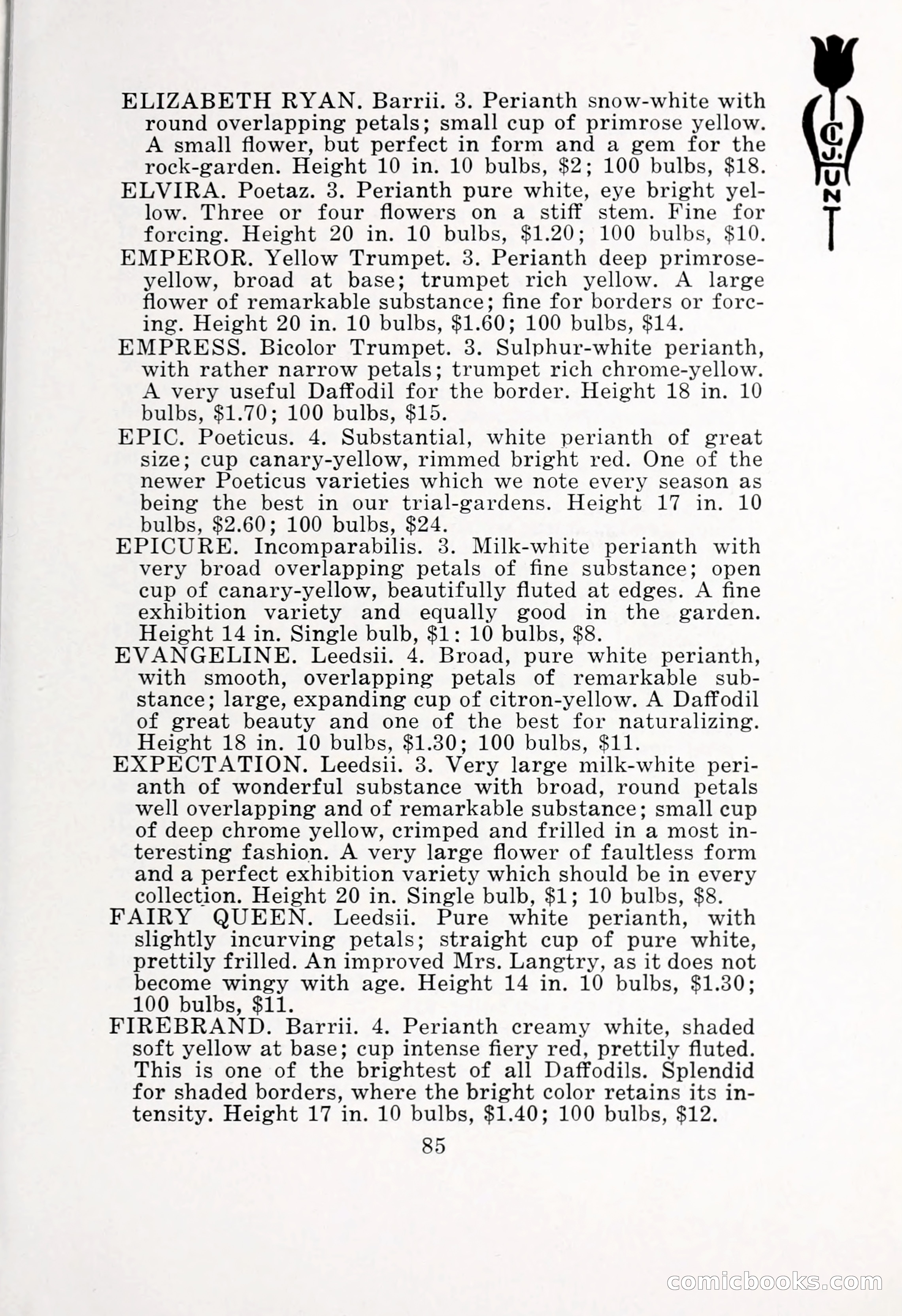 Blue Book of Bulbs, 1932 — page 90 of 121