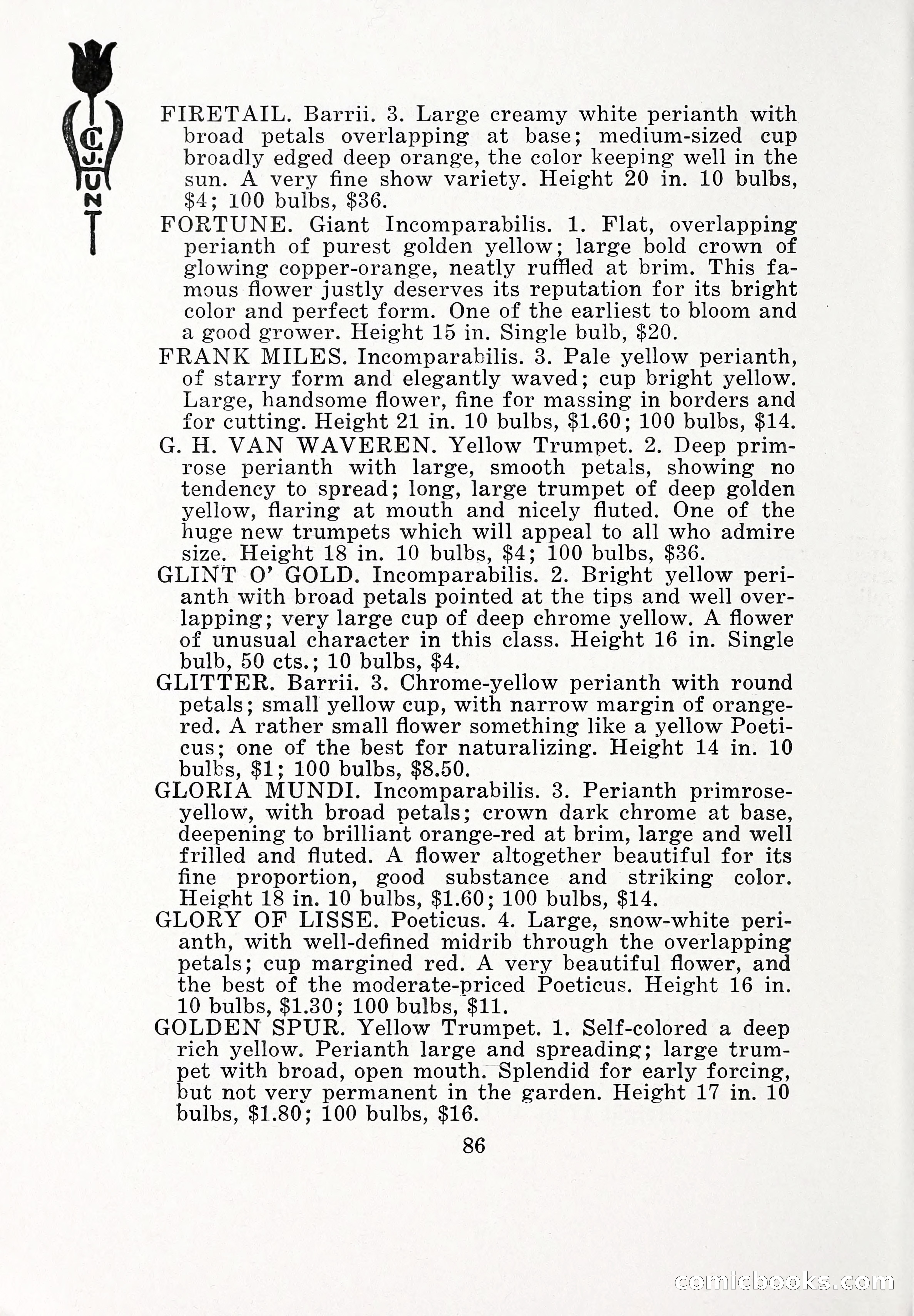 Blue Book of Bulbs, 1932 — page 91 of 121