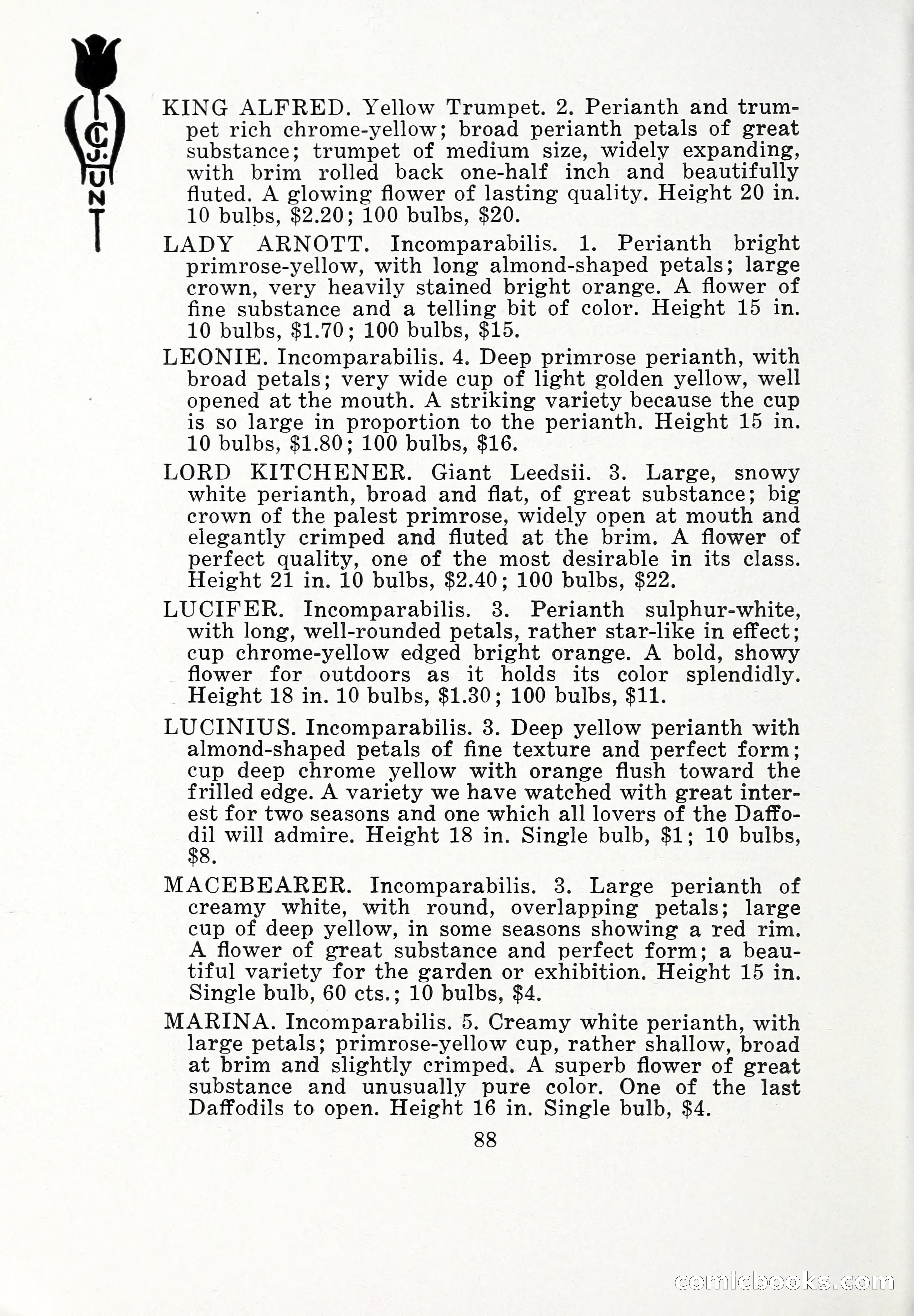 Blue Book of Bulbs, 1932 — page 93 of 121