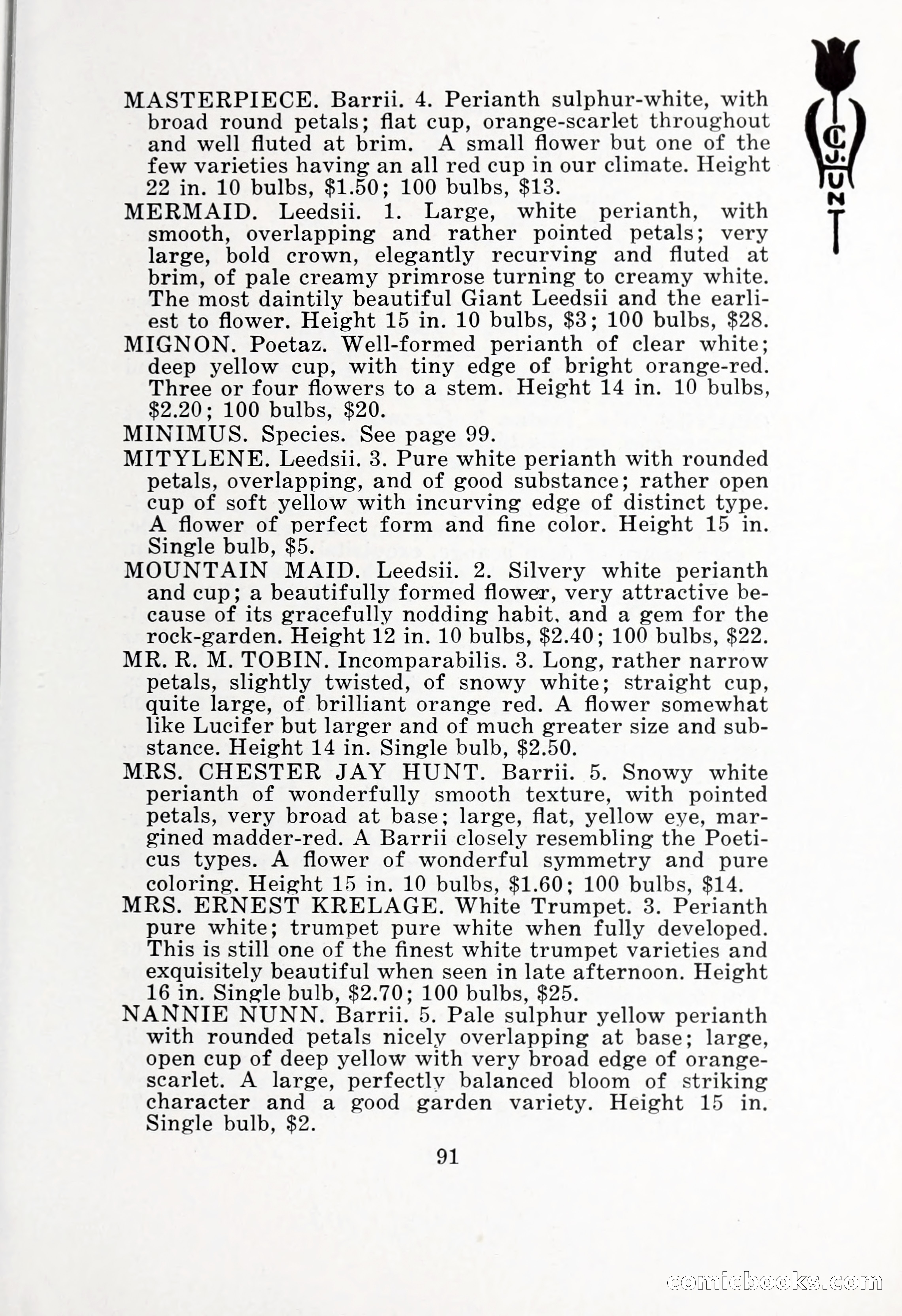 Blue Book of Bulbs, 1932 — page 96 of 121